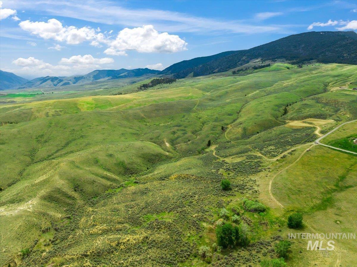 TBD Arrowhead Dr, Salmon, Idaho 83467, Land For Sale, Price $499,000,MLS 98878974