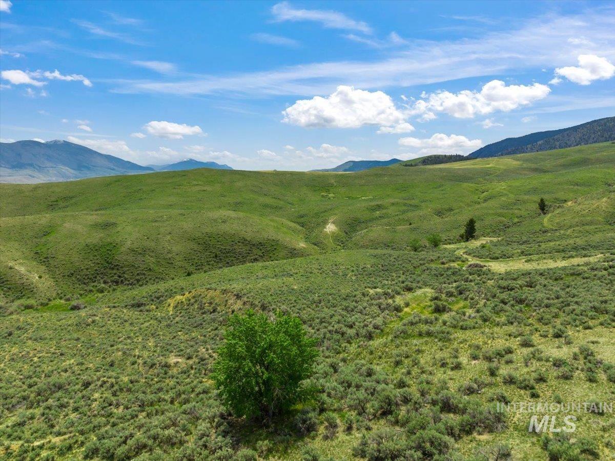 TBD Arrowhead Dr, Salmon, Idaho 83467, Land For Sale, Price $499,000,MLS 98878974