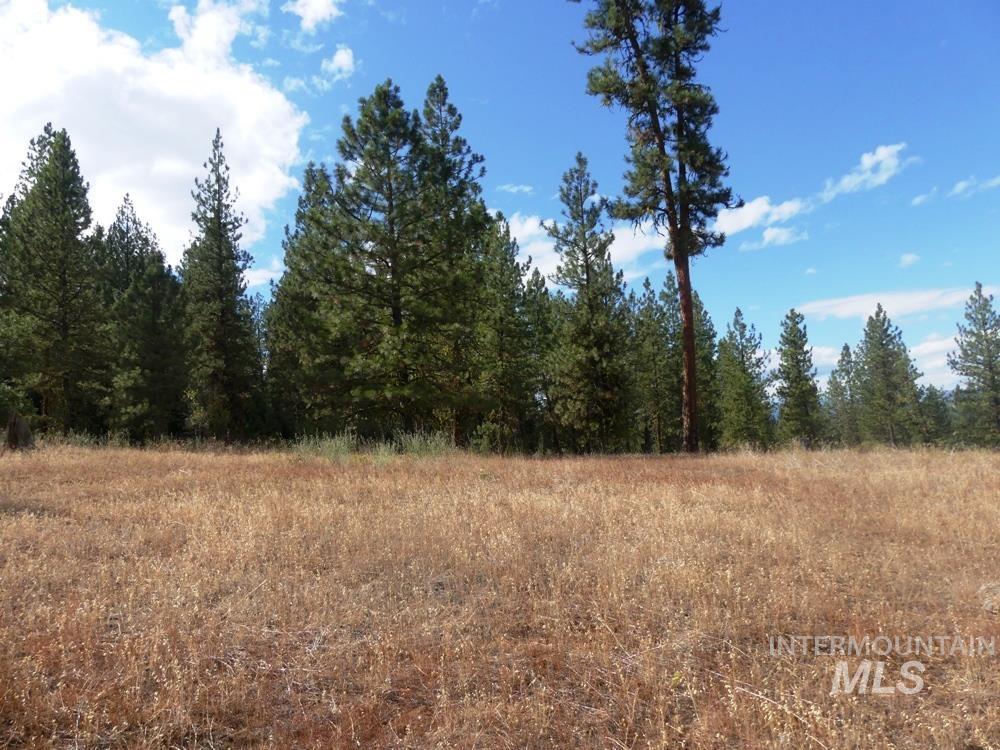 Lot 24 Timber Ridge, New Meadows, Idaho 83654, Land For Sale, Price $429,000,MLS 98879664