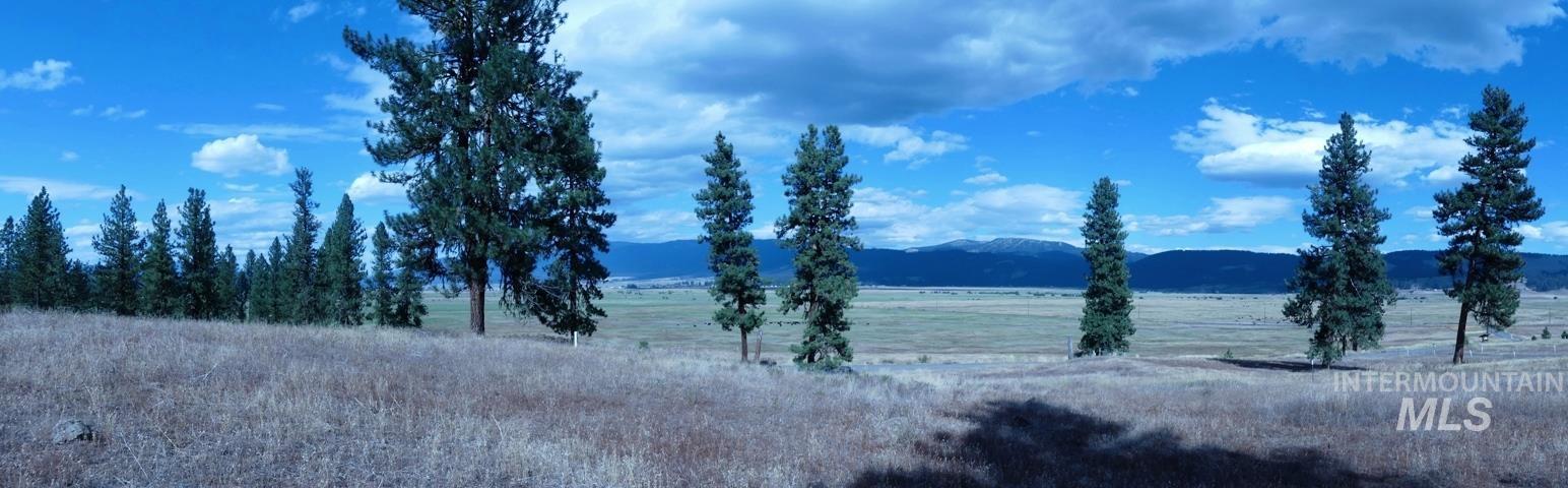Lot 24 Timber Ridge, New Meadows, Idaho 83654, Land For Sale, Price $429,000,MLS 98879664