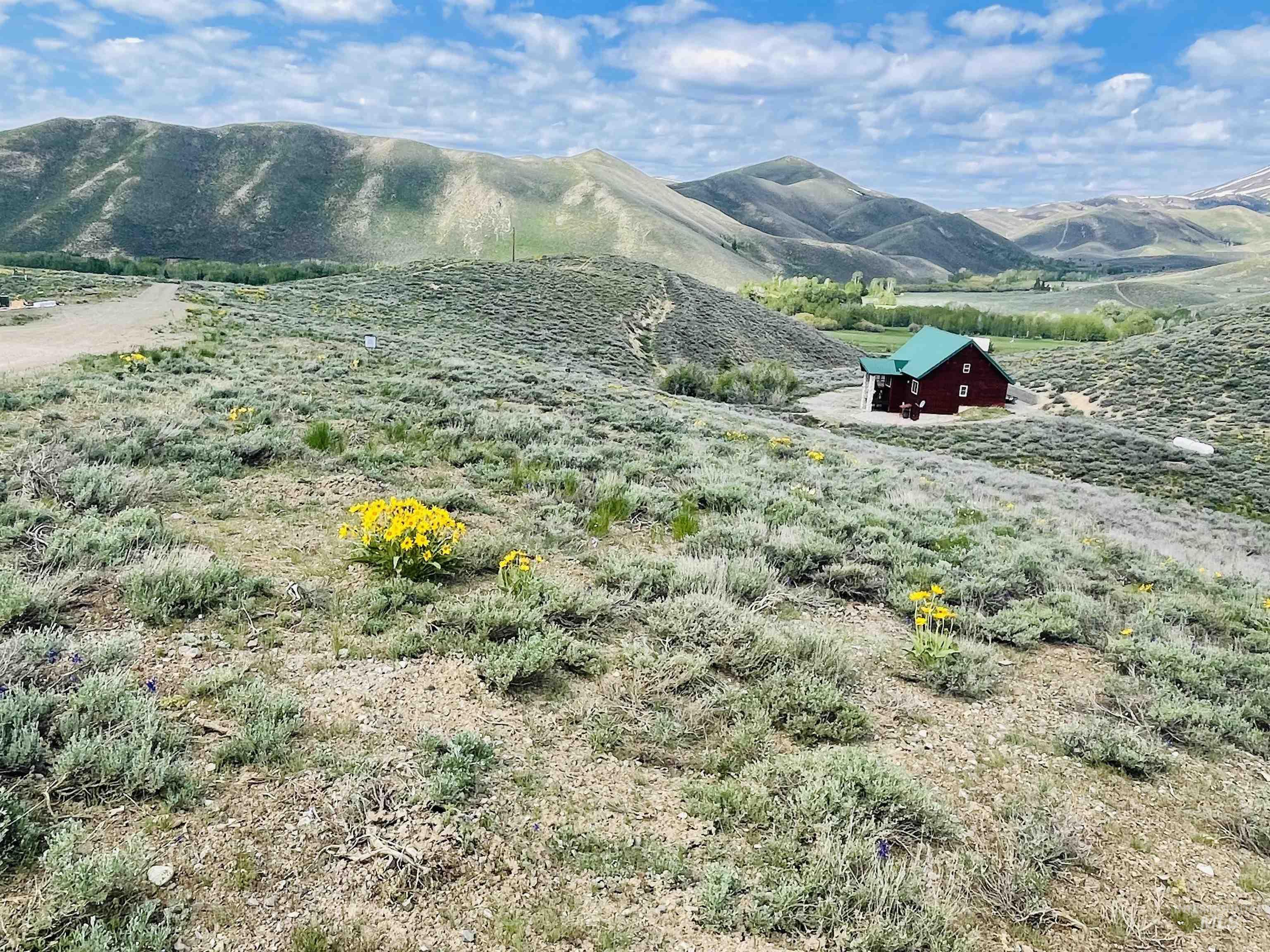 TBD Silver Brush, Fairfield, Idaho 83327, Land For Sale, Price $91,500, 98880051