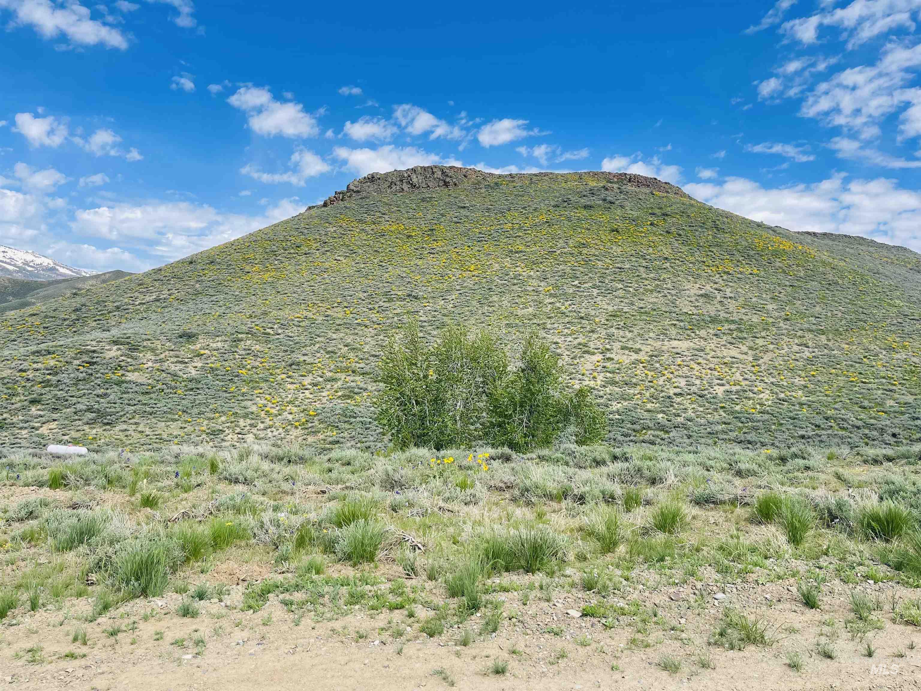 TBD Silver Brush, Fairfield, Idaho 83327, Land For Sale, Price $91,500, 98880051