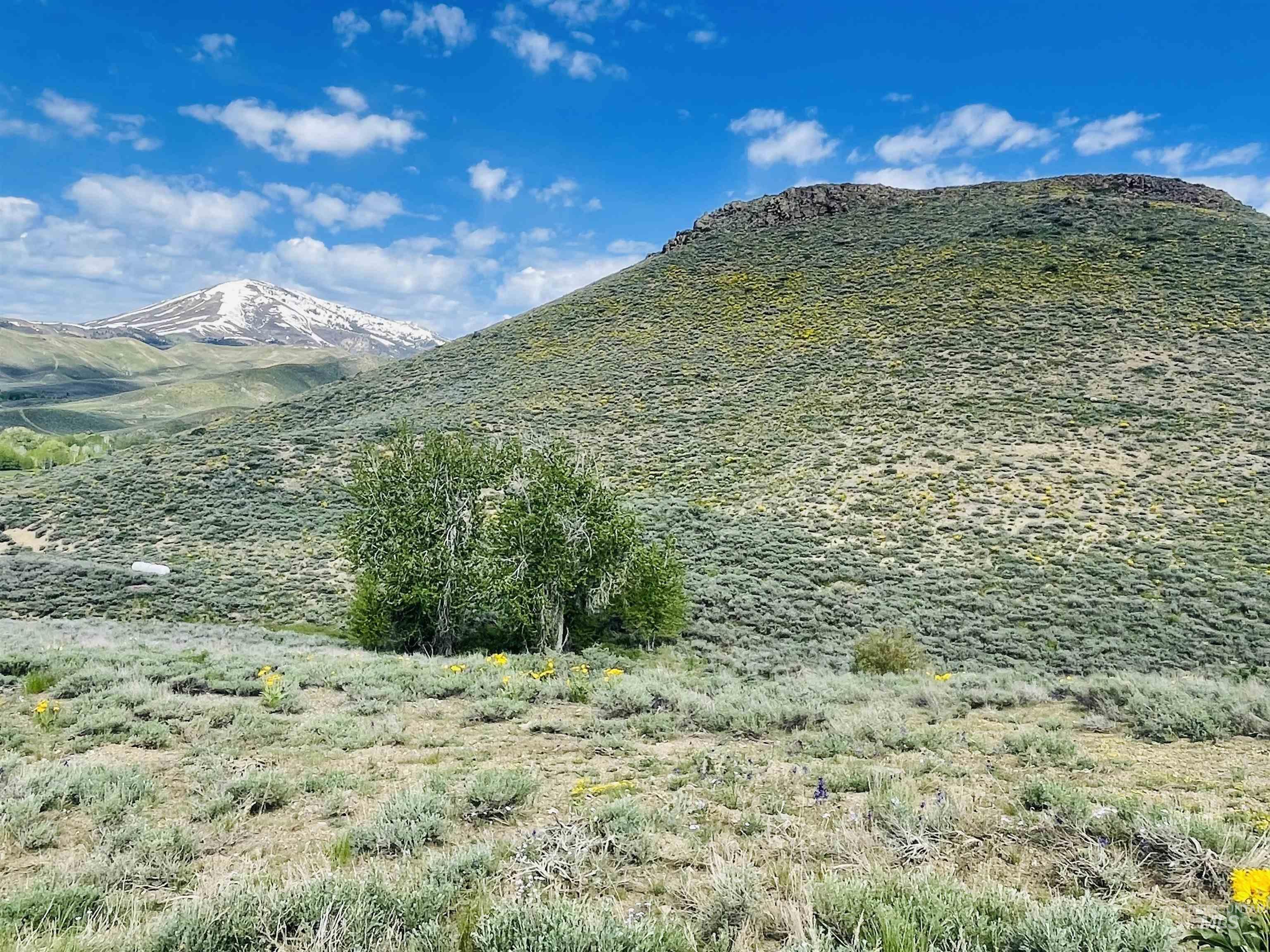 TBD Silver Brush, Fairfield, Idaho 83327, Land For Sale, Price $91,500, 98880051