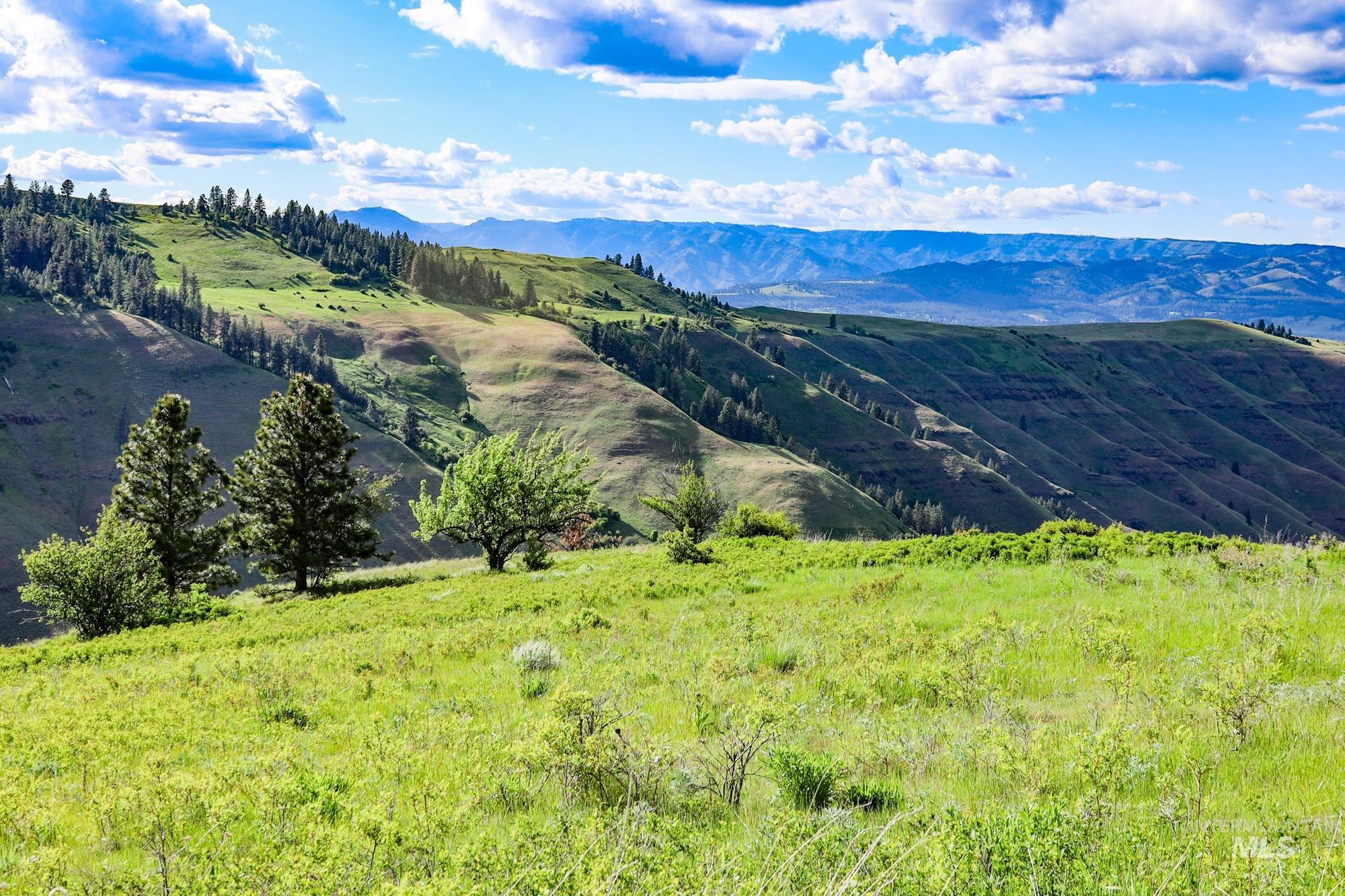 0 Highway 3, Enterprise, Oregon 97828, Land For Sale, Price $575,000, 98880131
