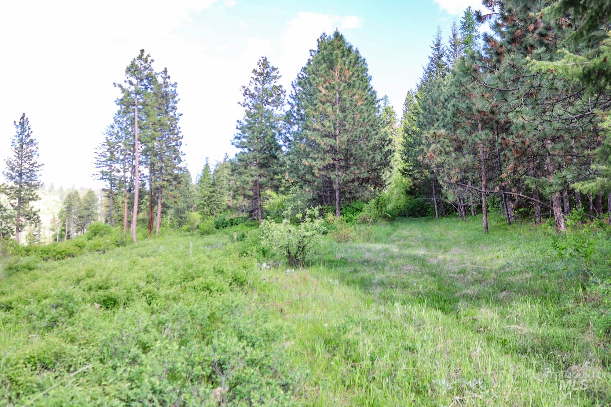 0 Highway 3, Enterprise, Oregon 97828, Land For Sale, Price $575,000,MLS 98880131