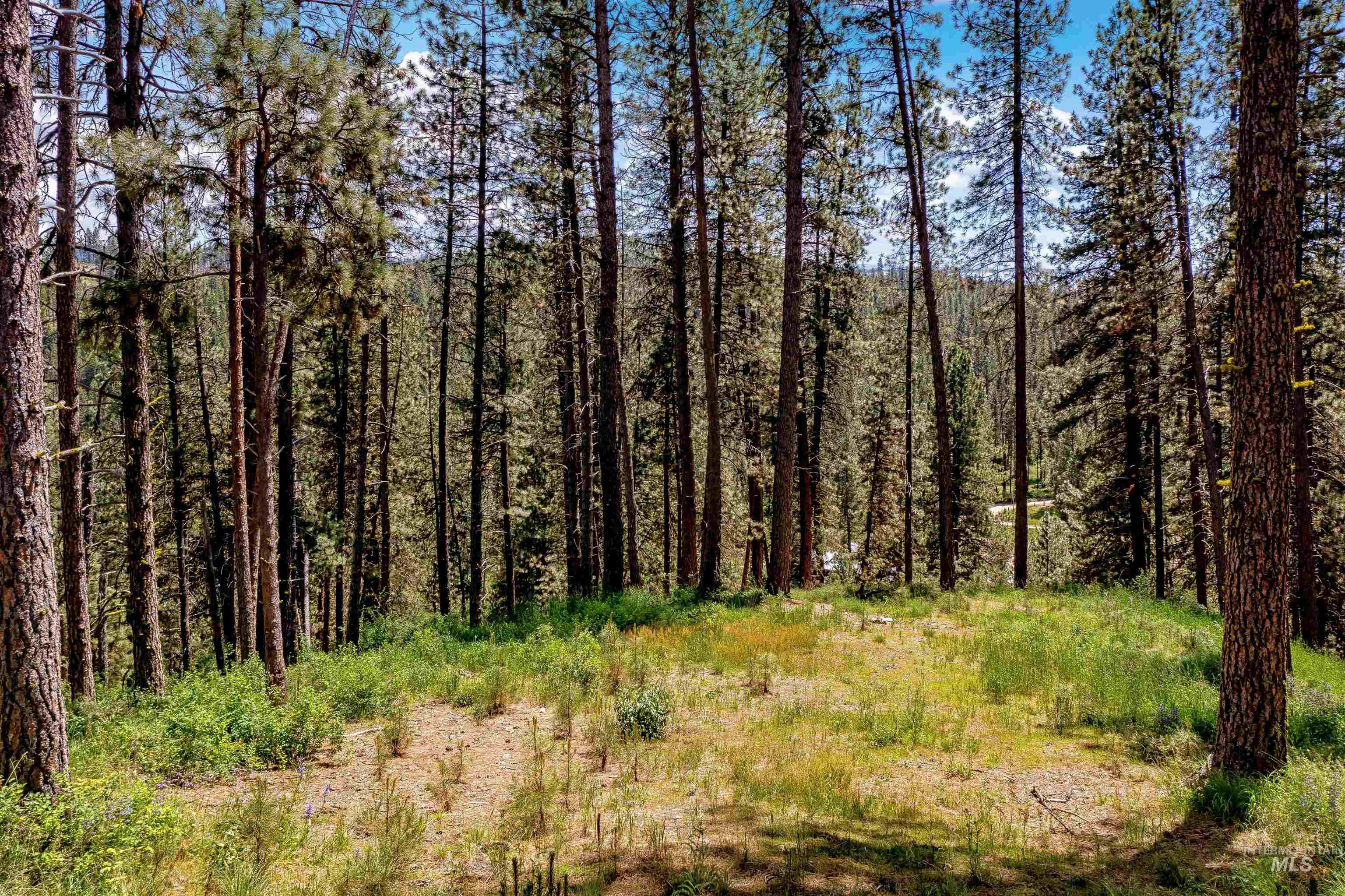 TBD Banner RD, Boise, Idaho 83716, Land For Sale, Price $175,000, 98880204
