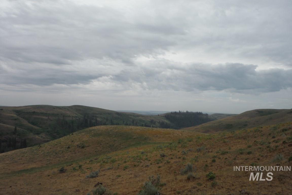 Lot 4 Middle Fork Rd, Council, Idaho 83612, Land For Sale, Price $499,000,MLS 98881241