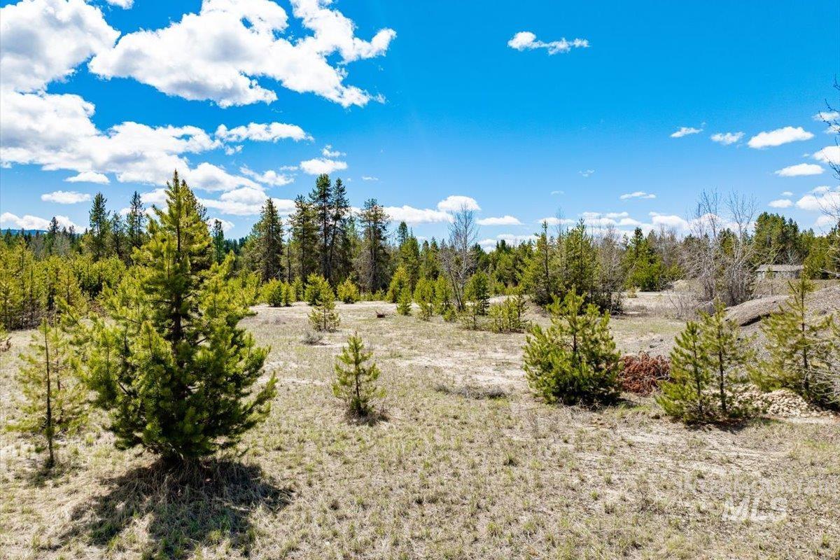 TBD Warner Dr Lot 14 Block 2, Cascade, Idaho 83611, Land For Sale, Price $229,900, 98881835