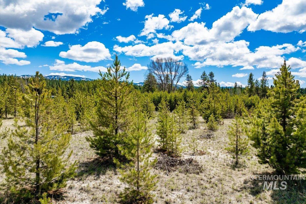 TBD Warner Dr Lot 14 Block 2, Cascade, Idaho 83611, Land For Sale, Price $229,900, 98881835