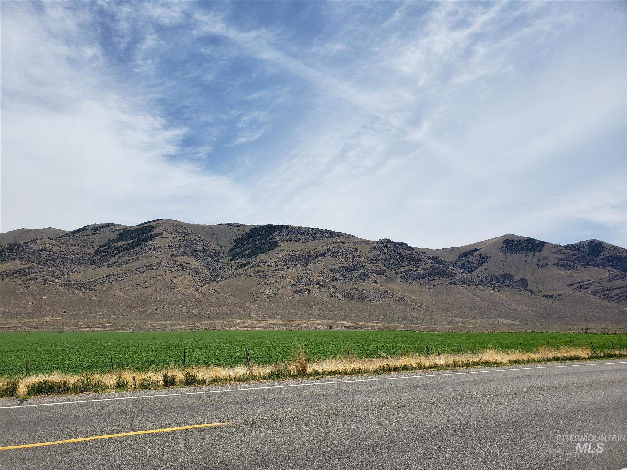 TBD N US Highway 93, Moore, Idaho 83255, Land For Sale, Price $69,900,MLS 98881901