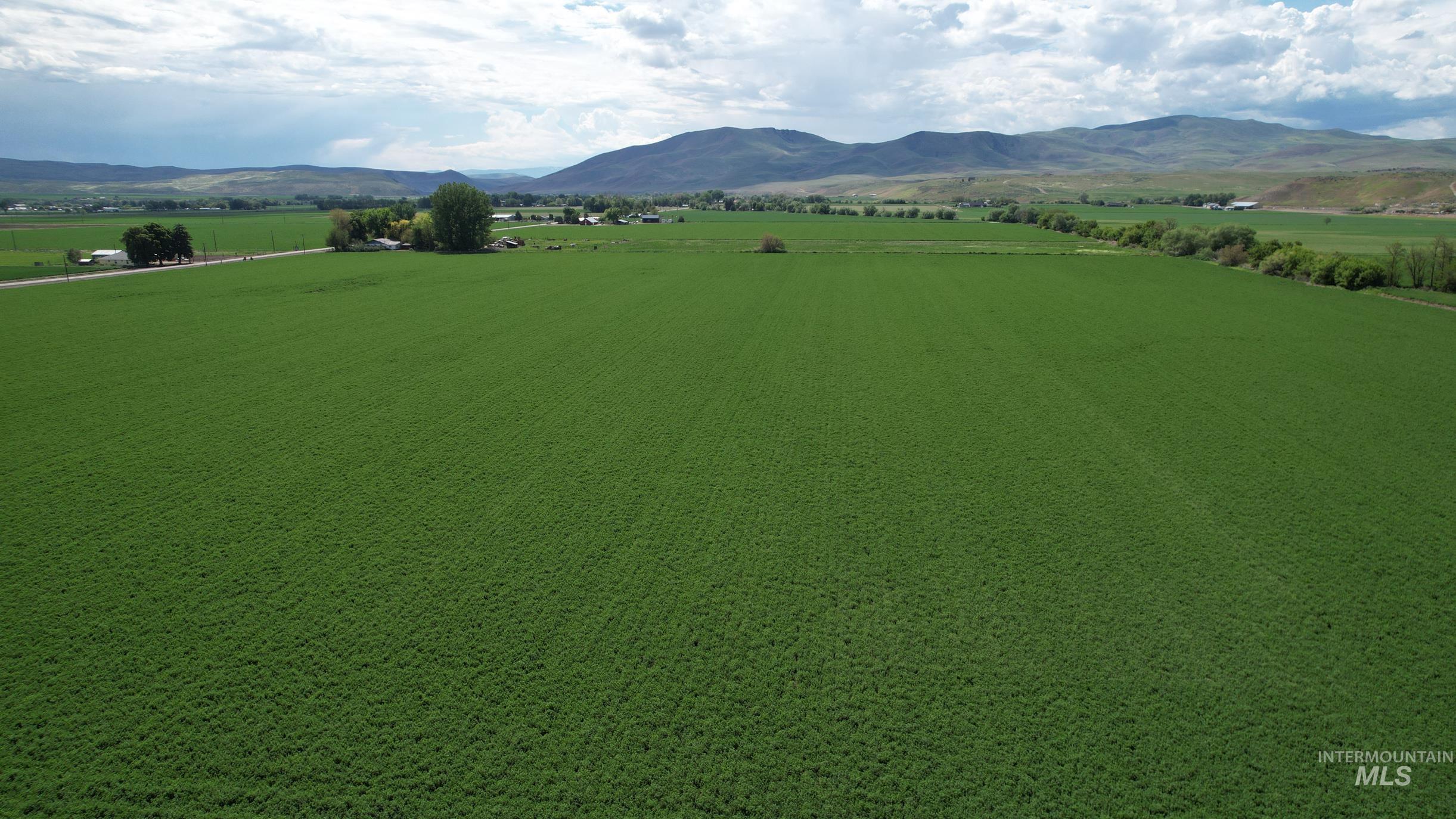 0 Olds Ferry Road, Weiser, Idaho 83672, Farm & Ranch For Sale, Price $691,410,MLS 98882054