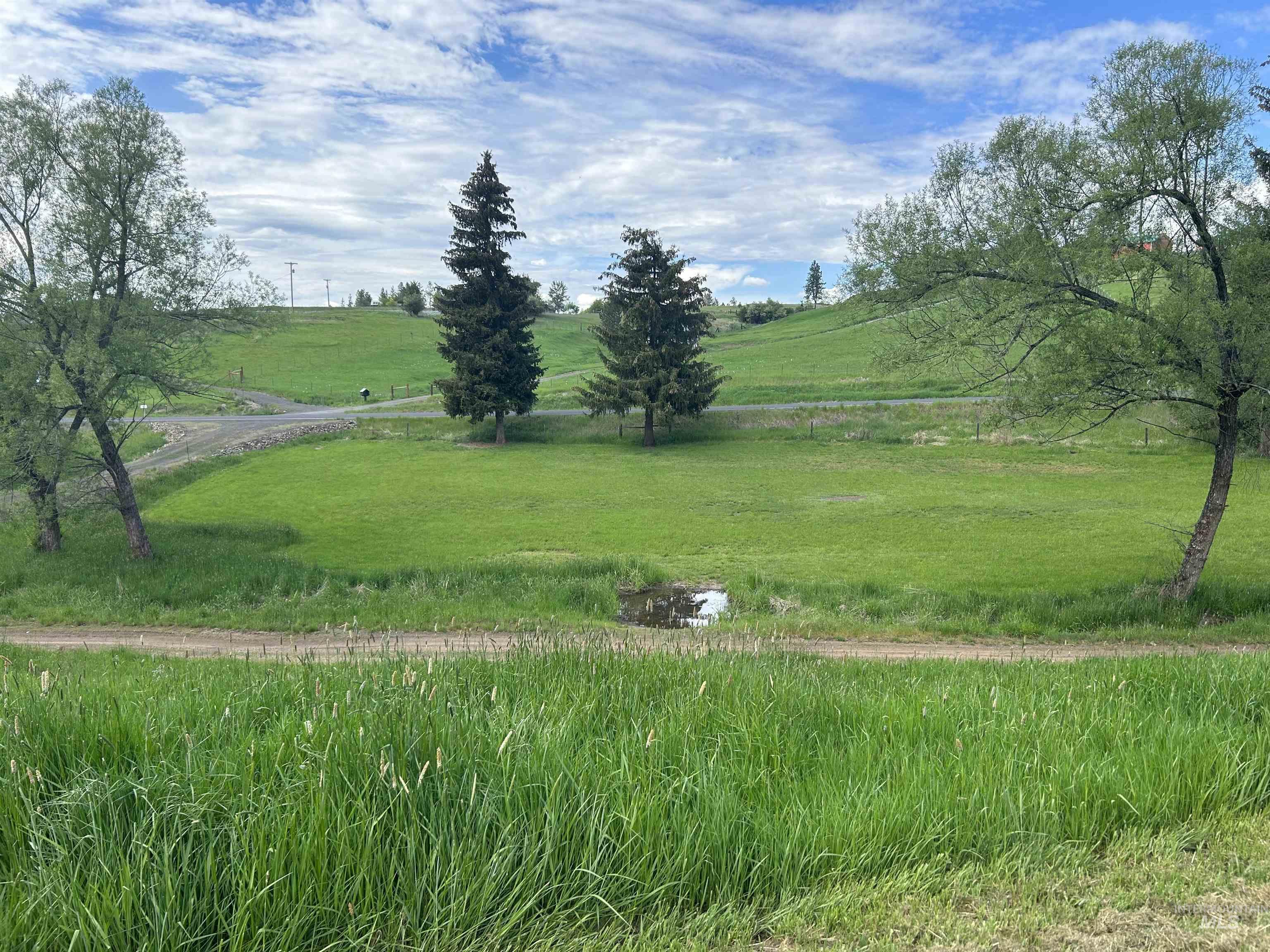 698 Leitch Creek Rd, Kooskia, Idaho 83539, 2 Bedrooms, 1 Bathroom, Residential For Sale, Price $595,000, 98883001