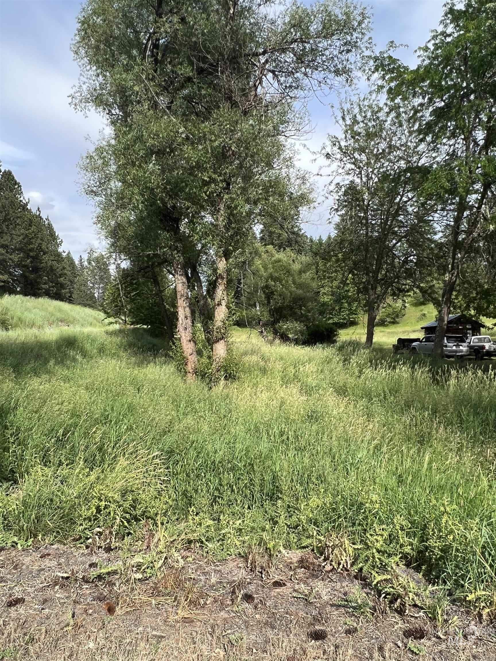 698 Leitch Creek Rd, Kooskia, Idaho 83539, 2 Bedrooms, 1 Bathroom, Residential For Sale, Price $595,000, 98883001