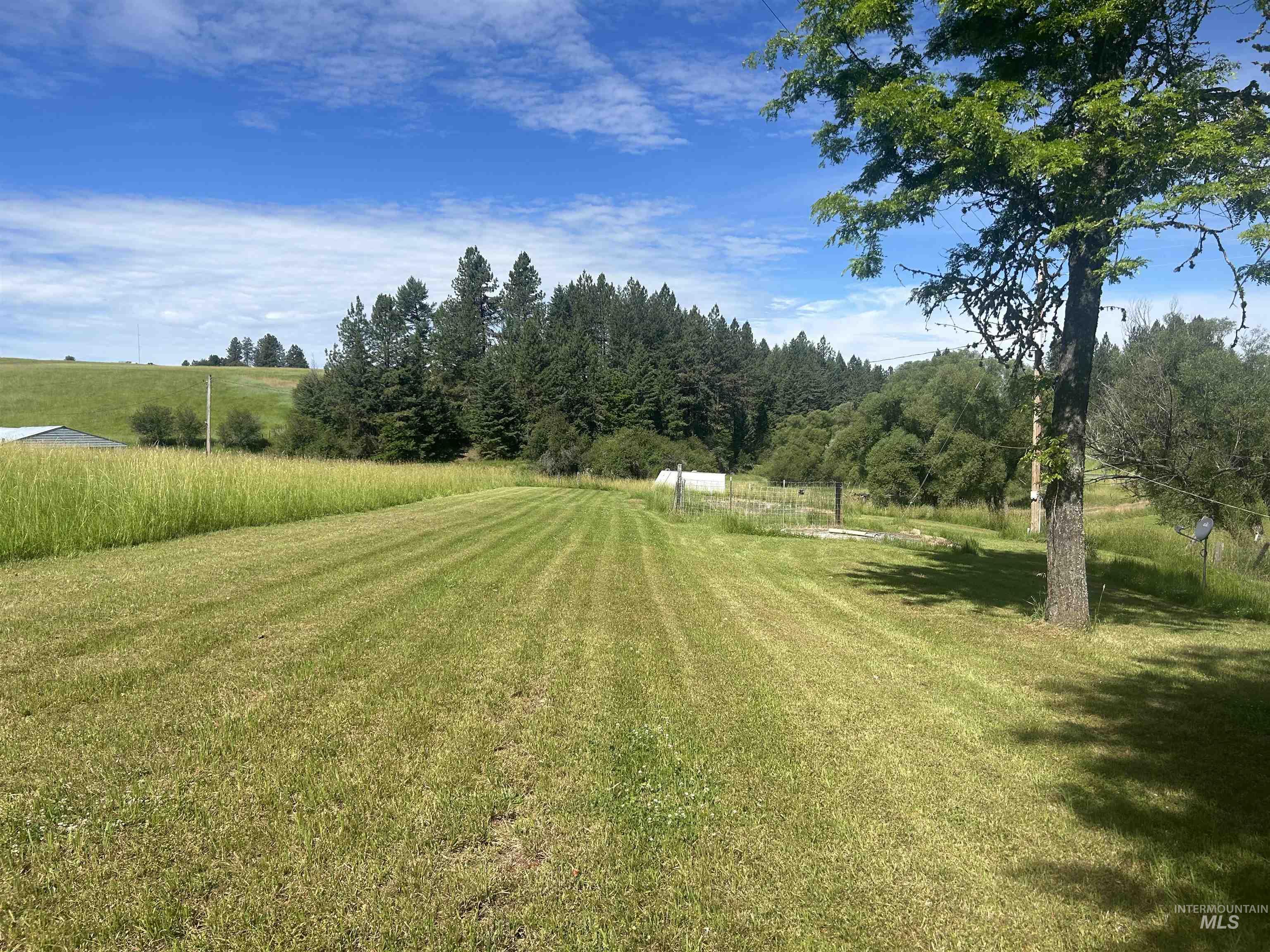 698 Leitch Creek Rd, Kooskia, Idaho 83539, 2 Bedrooms, 1 Bathroom, Residential For Sale, Price $595,000, 98883001