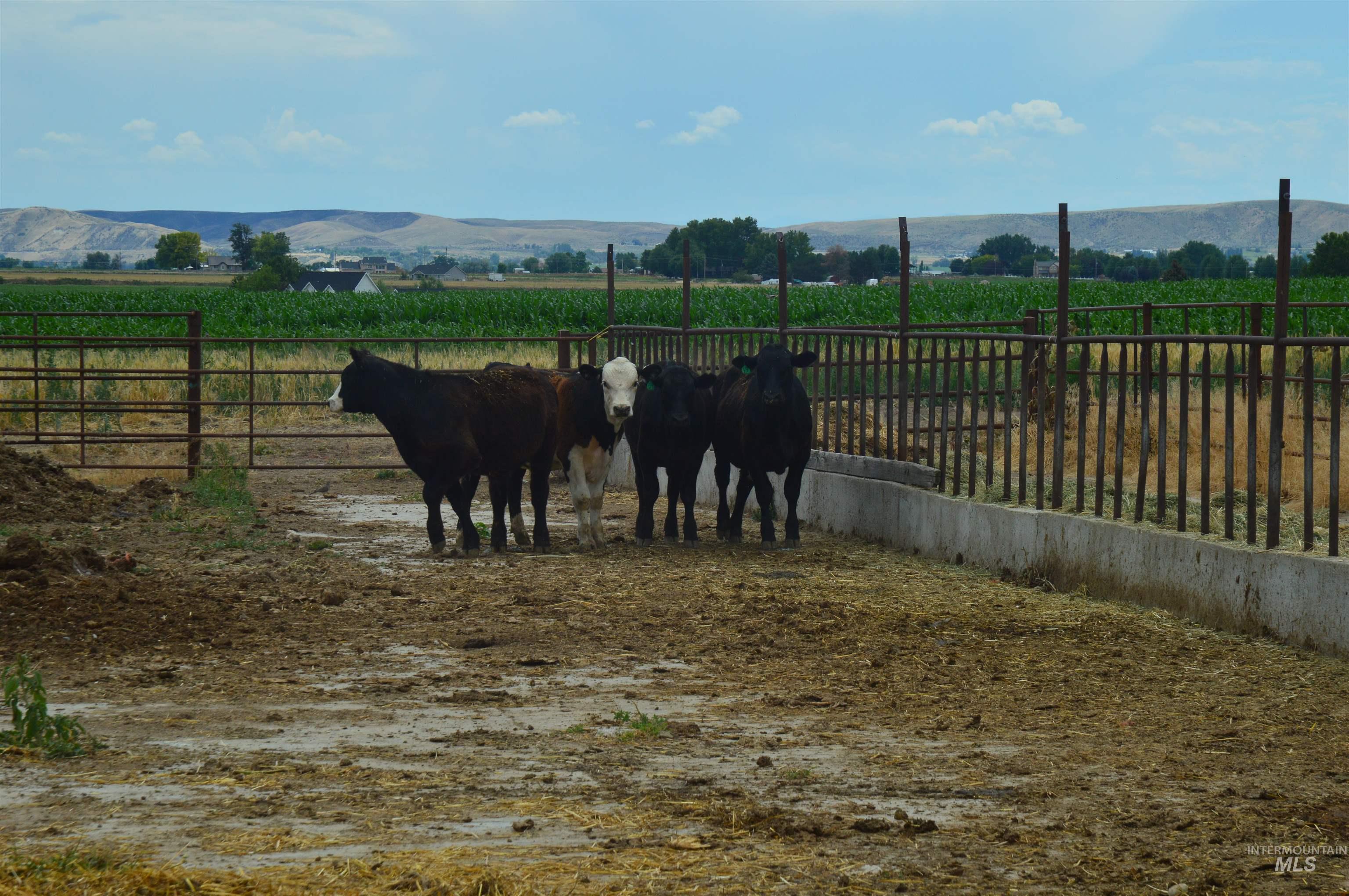 5025 Hillview Road, Emmett, Idaho 83617, Farm & Ranch For Sale, Price $725,000, 98883242