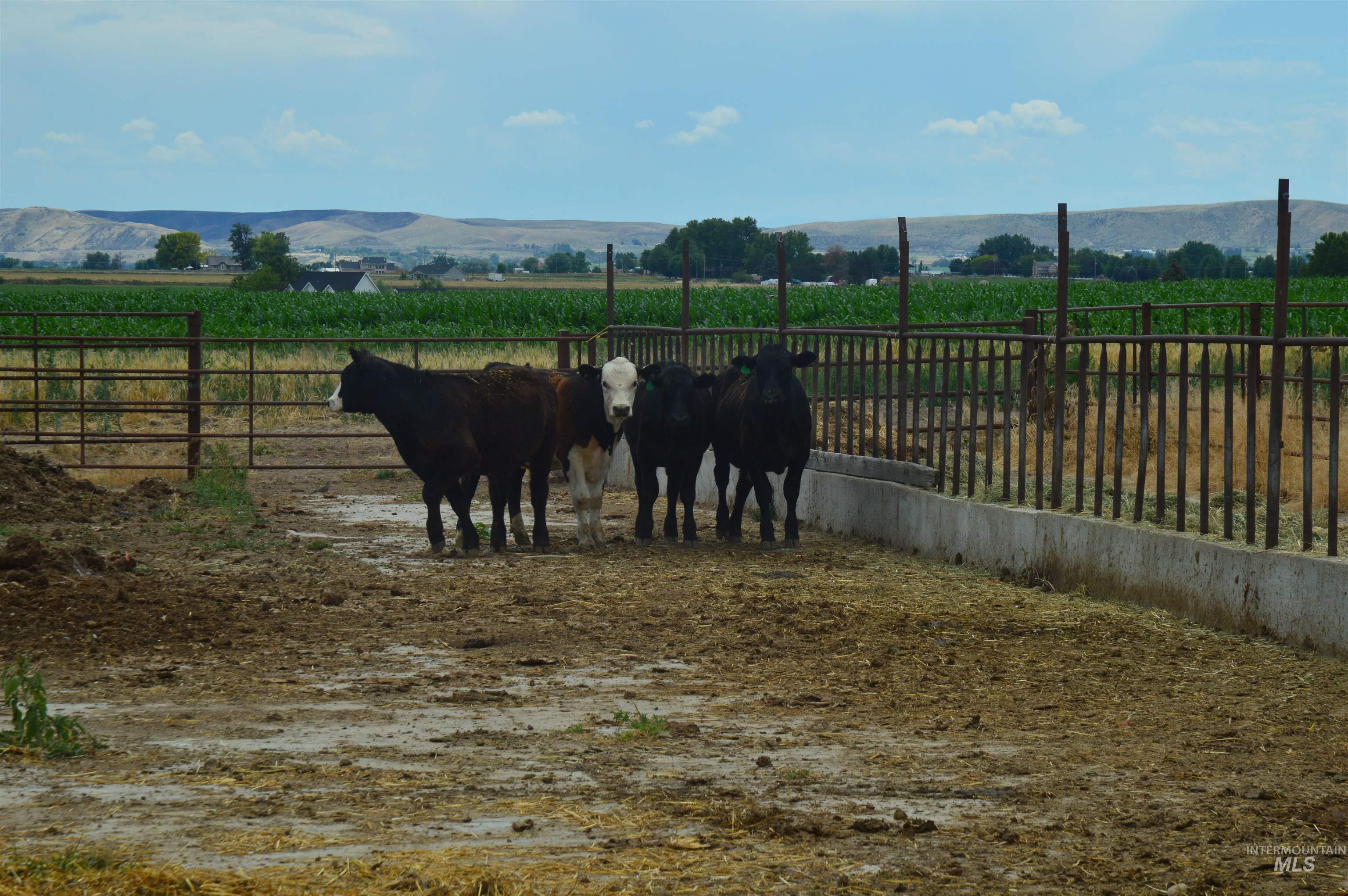 5025 Hillview Road, Emmett, Idaho 83617, Land For Sale, Price $725,000, 98883243