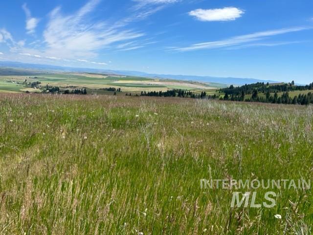 Lot 12 Over Yonder RD, CottonWood, Idaho 83522, Land For Sale, Price $300,000,MLS 98883348