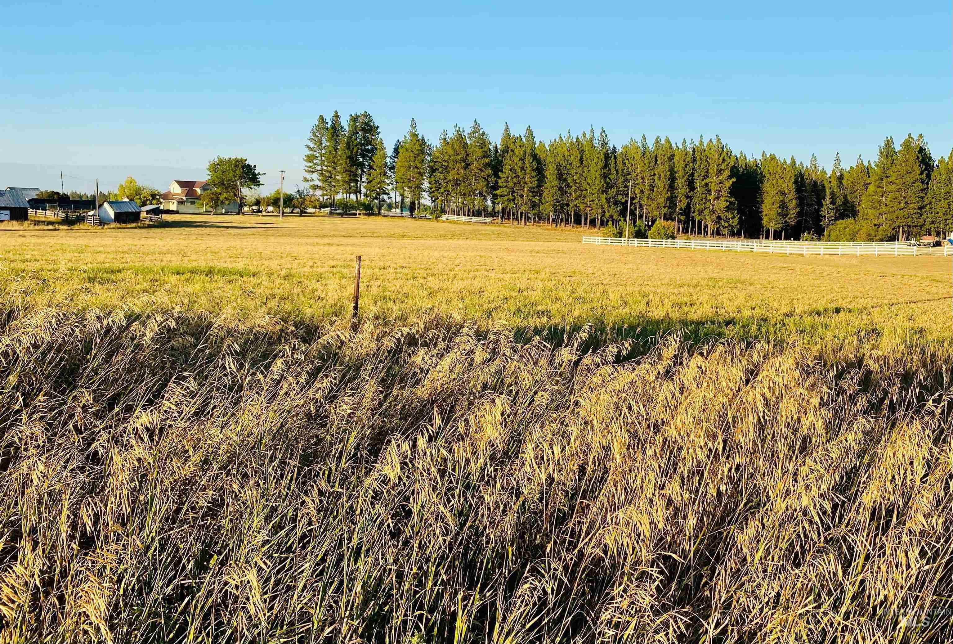 Lot 1 Fox Rd, Winchester, Idaho 83555, Land For Sale, Price $115,000,MLS 98883352