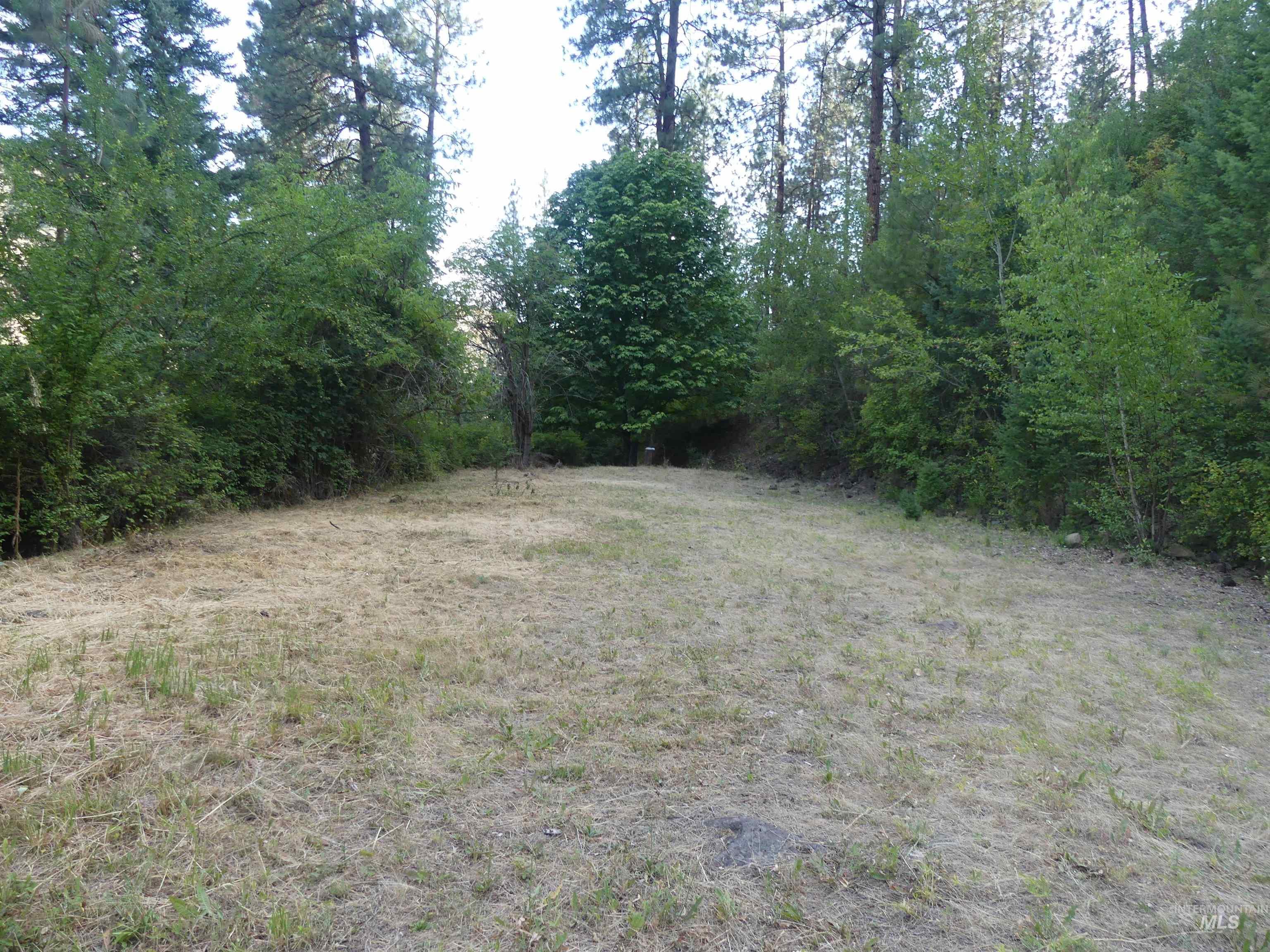14177 Cross Farm Road, Juliaetta, Idaho 83535, Land For Sale, Price $165,000, 98883485