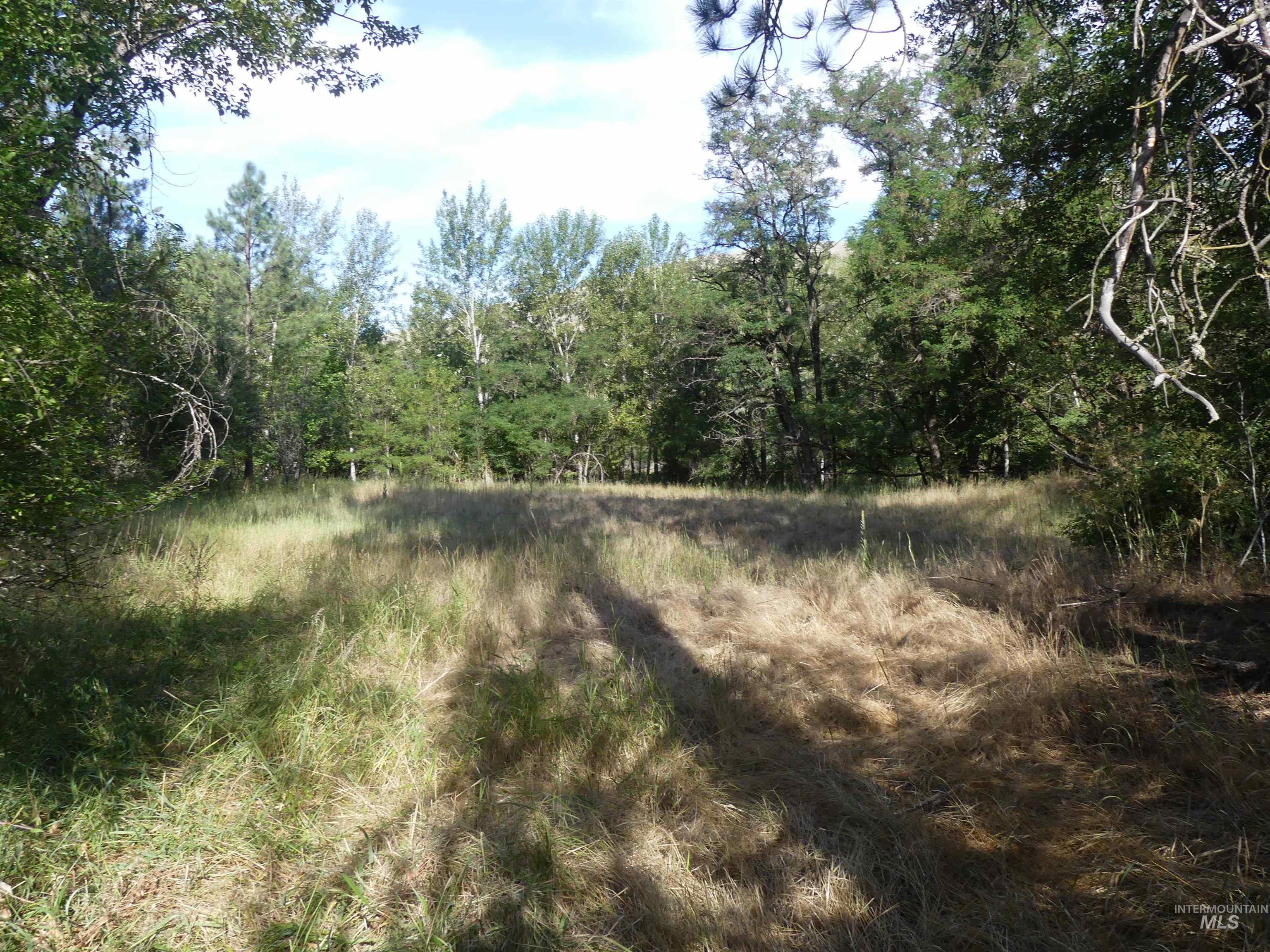 14177 Cross Farm Road, Juliaetta, Idaho 83535, Land For Sale, Price $165,000,MLS 98883485