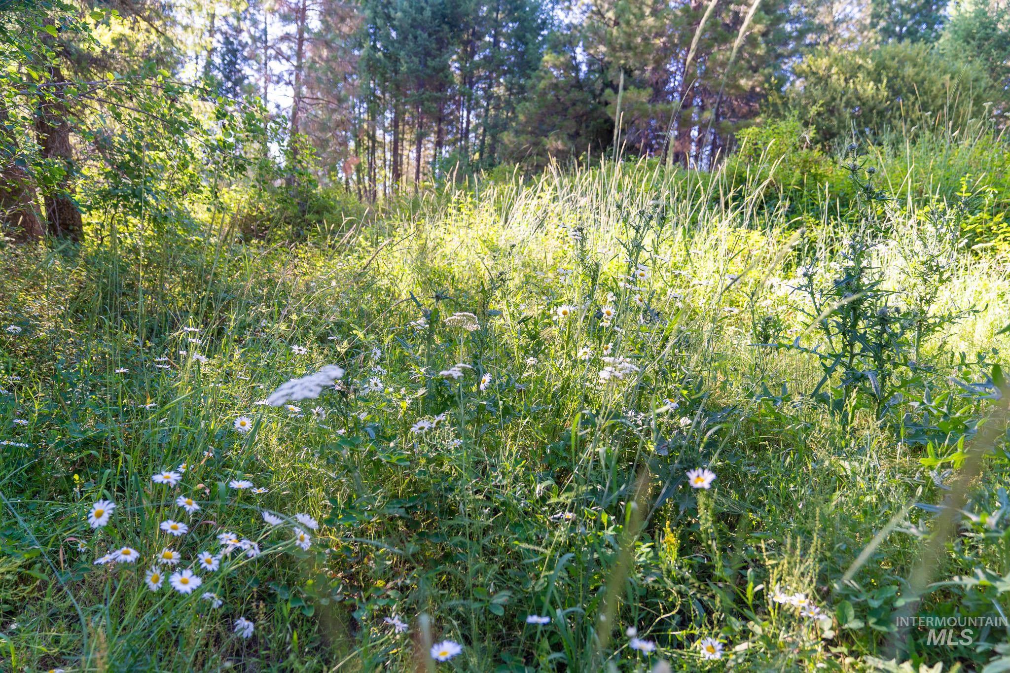TBD Goldfinch Rd lot 24, Garden Valley, Idaho 83622, Land For Sale, Price $325,333, 98883901