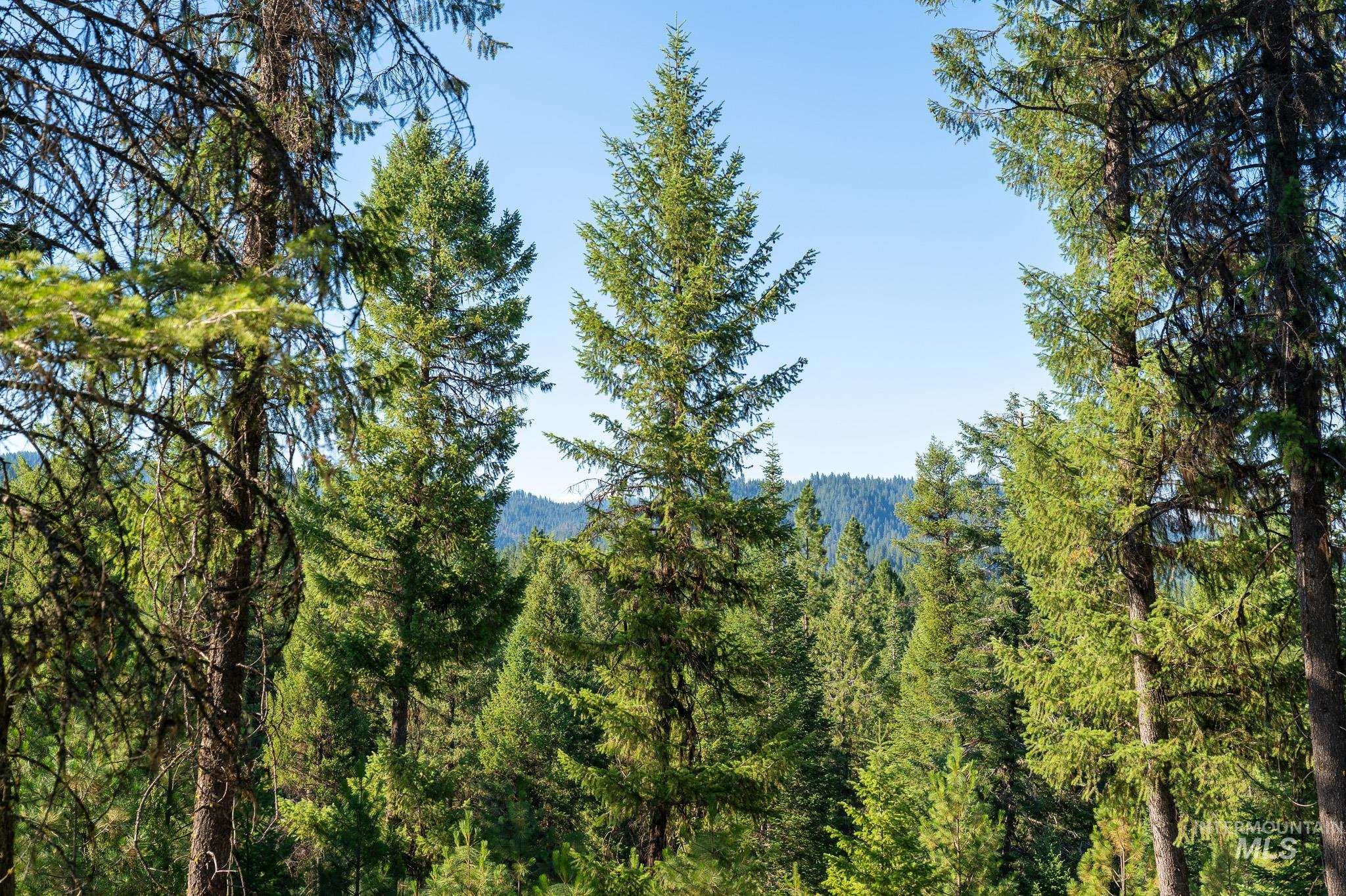 TBD Goldfinch Rd lot 24, Garden Valley, Idaho 83622, Land For Sale, Price $325,333, 98883901