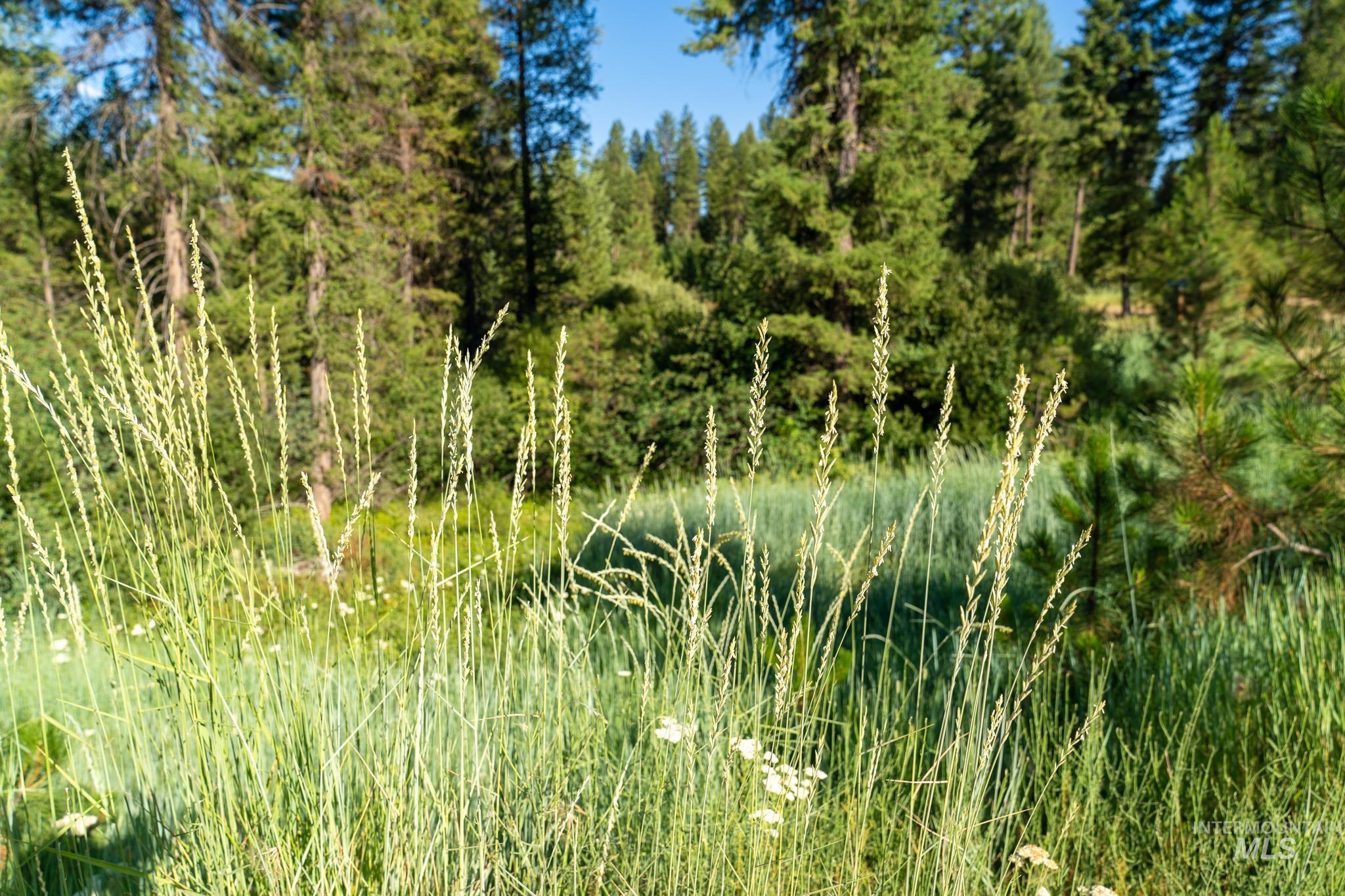 TBD Goldfinch Rd lot 24, Garden Valley, Idaho 83622, Land For Sale, Price $325,333, 98883901