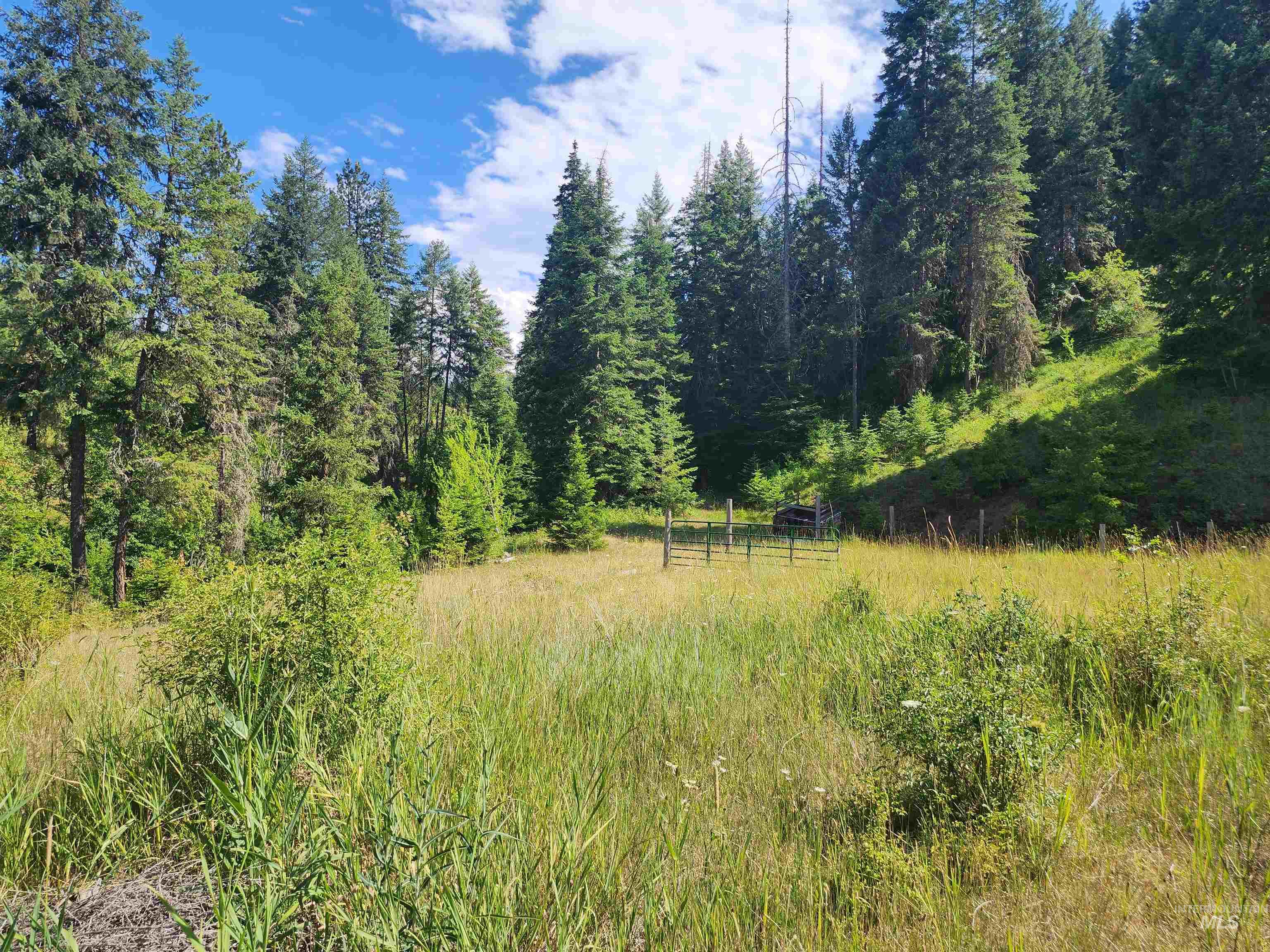 126 Shira Road, Clearwater, Idaho 83552, 3 Bedrooms, 2 Bathrooms, Residential For Sale, Price $599,000, 98884141