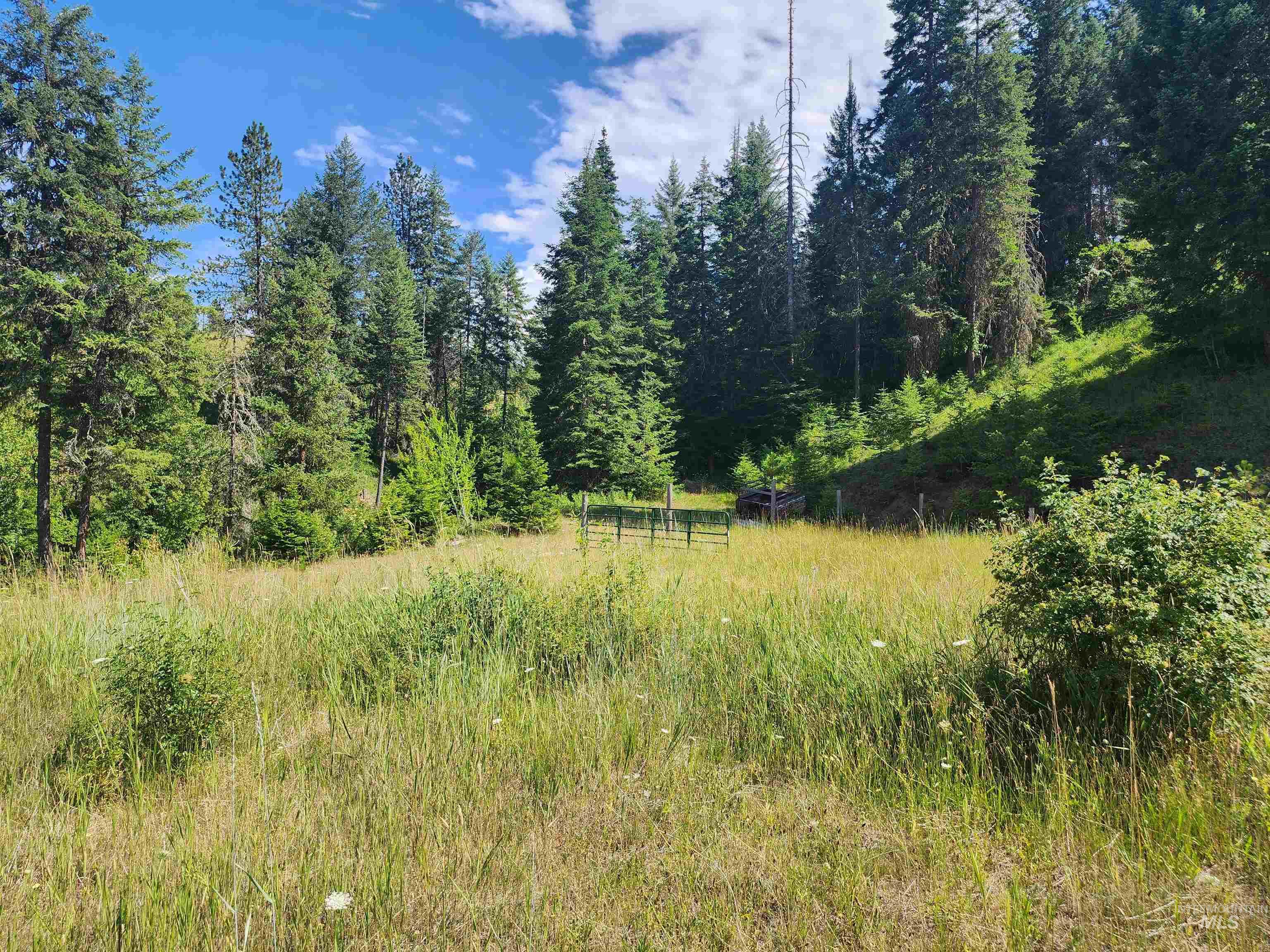 126 Shira Road, Clearwater, Idaho 83552, 3 Bedrooms, 2 Bathrooms, Residential For Sale, Price $599,000, 98884141