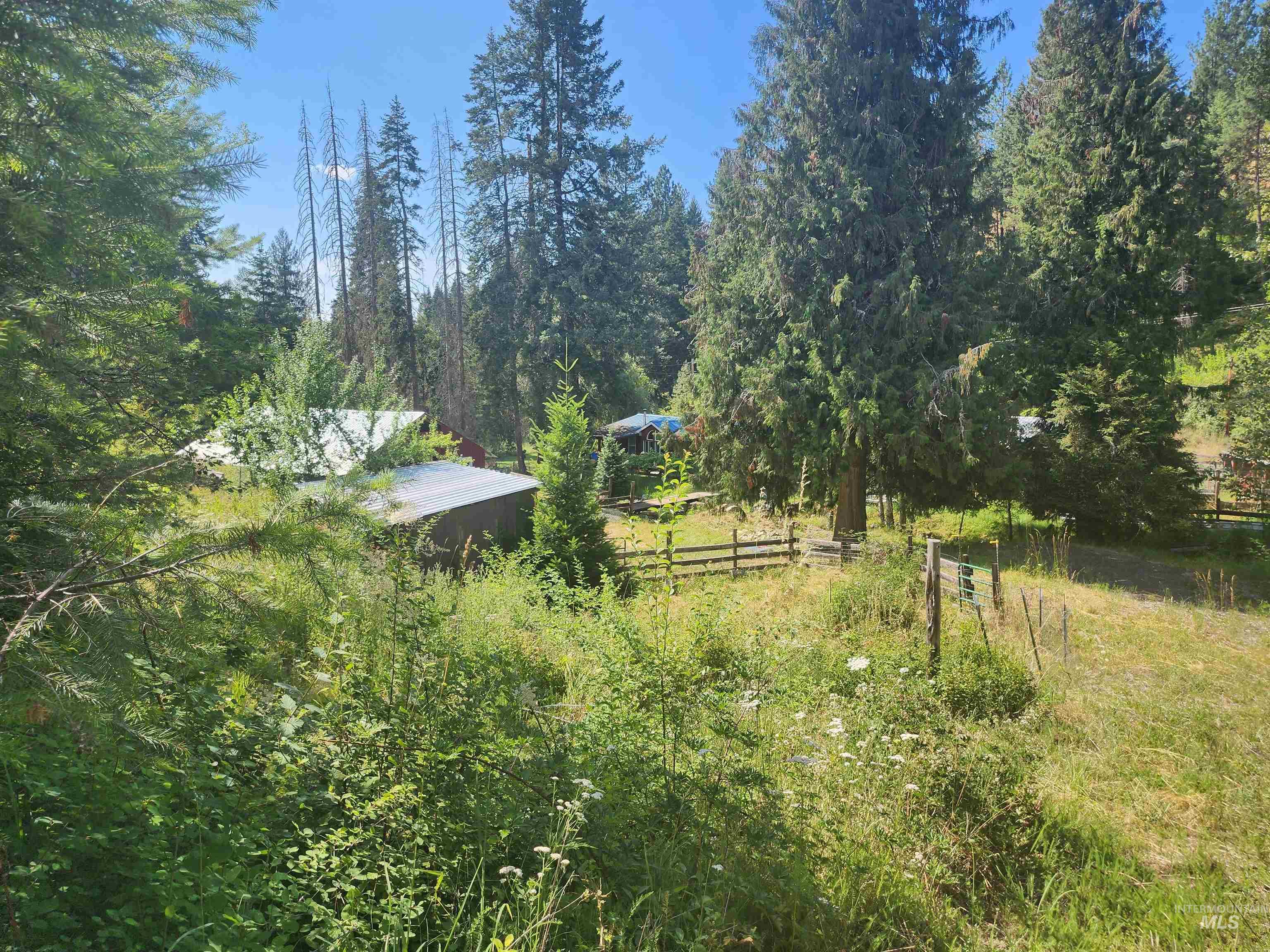 126 Shira Road, Clearwater, Idaho 83552, 3 Bedrooms, 2 Bathrooms, Residential For Sale, Price $599,000, 98884141