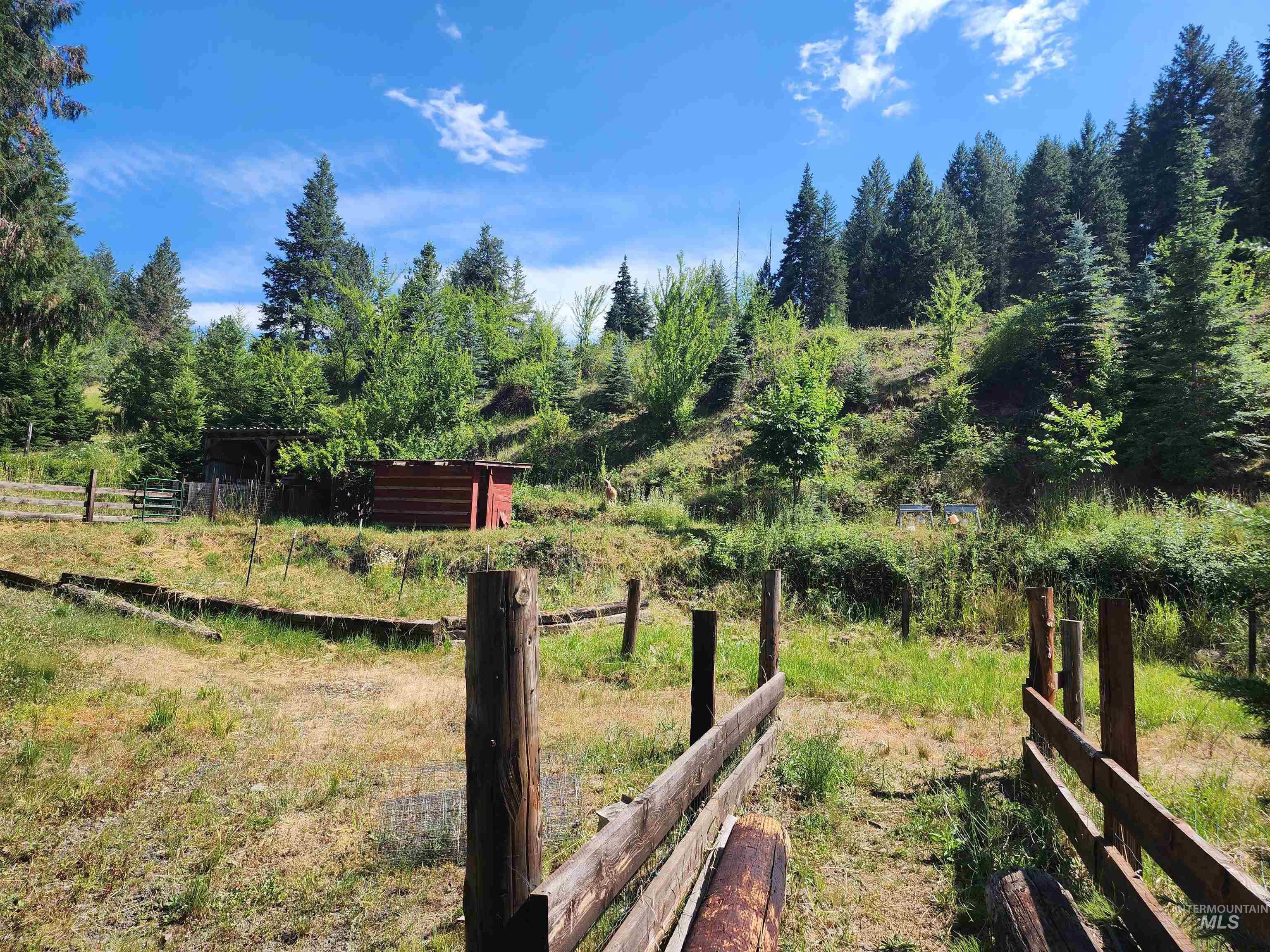 126 Shira Road, Clearwater, Idaho 83552, 3 Bedrooms, 2 Bathrooms, Residential For Sale, Price $599,000, 98884141