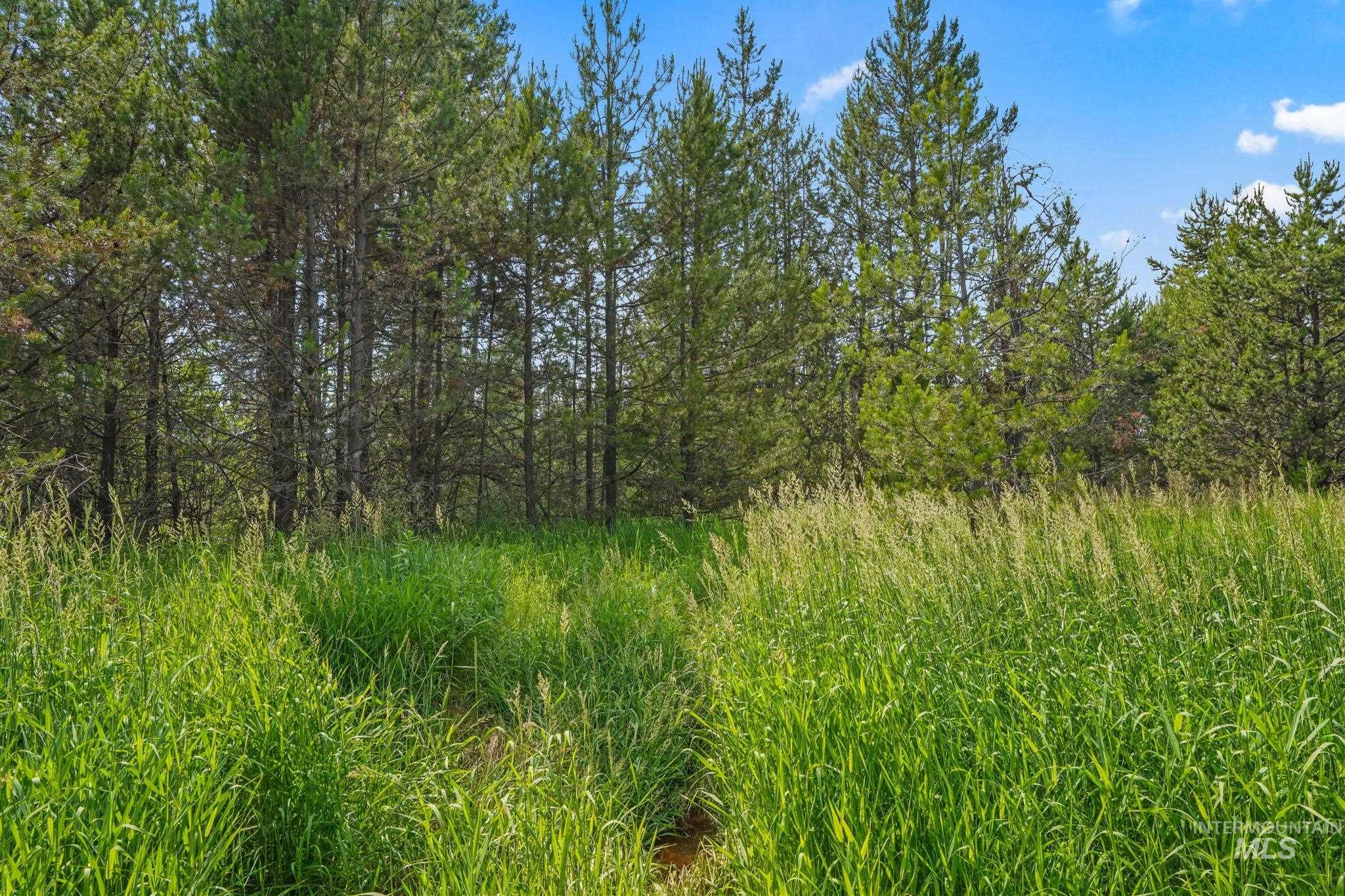 0 Hwy 55, Donnelly, Idaho 83615, Land For Sale, Price $399,900, 98884261