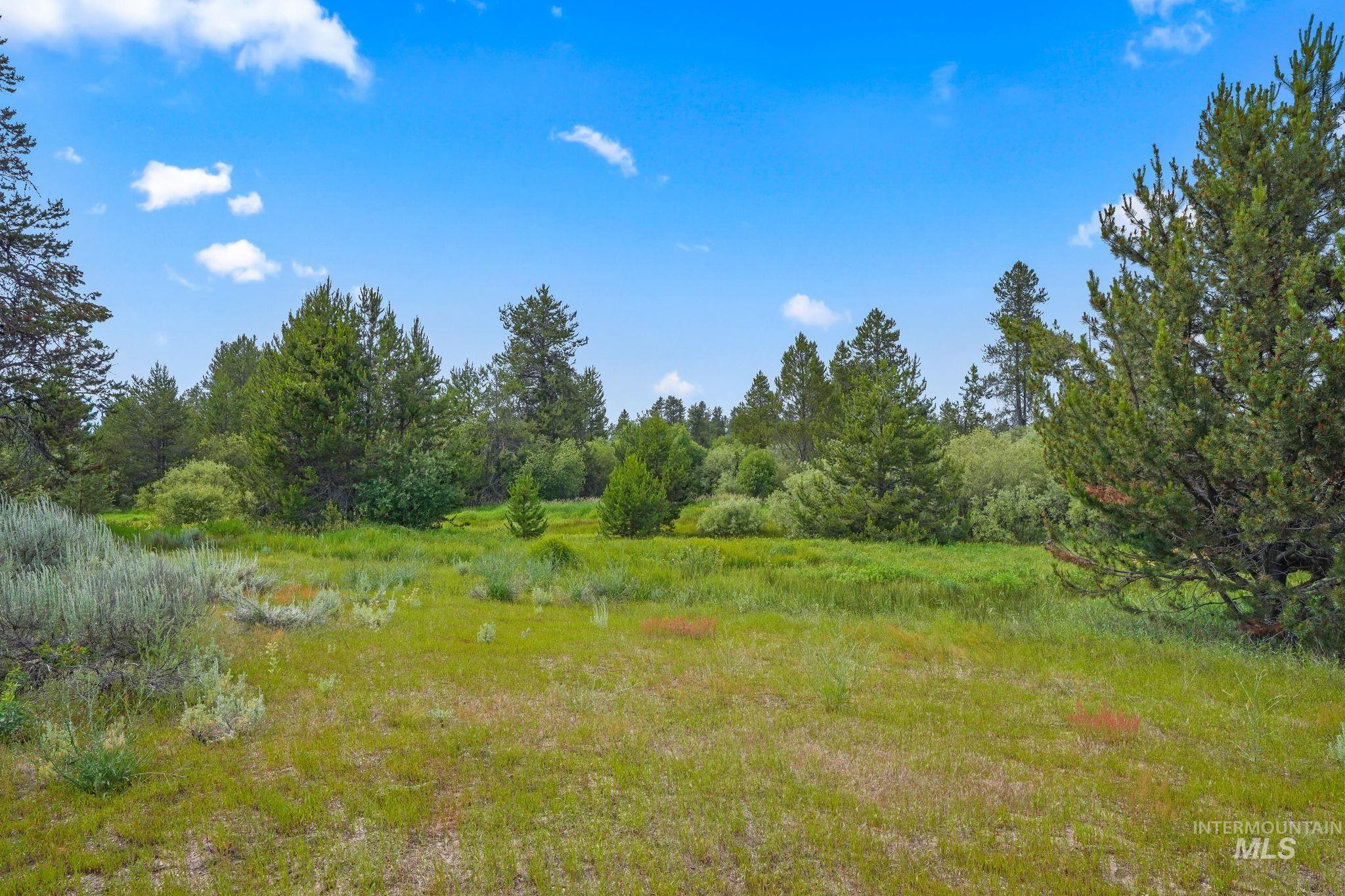 0 Hwy 55, Donnelly, Idaho 83615, Land For Sale, Price $399,900, 98884261