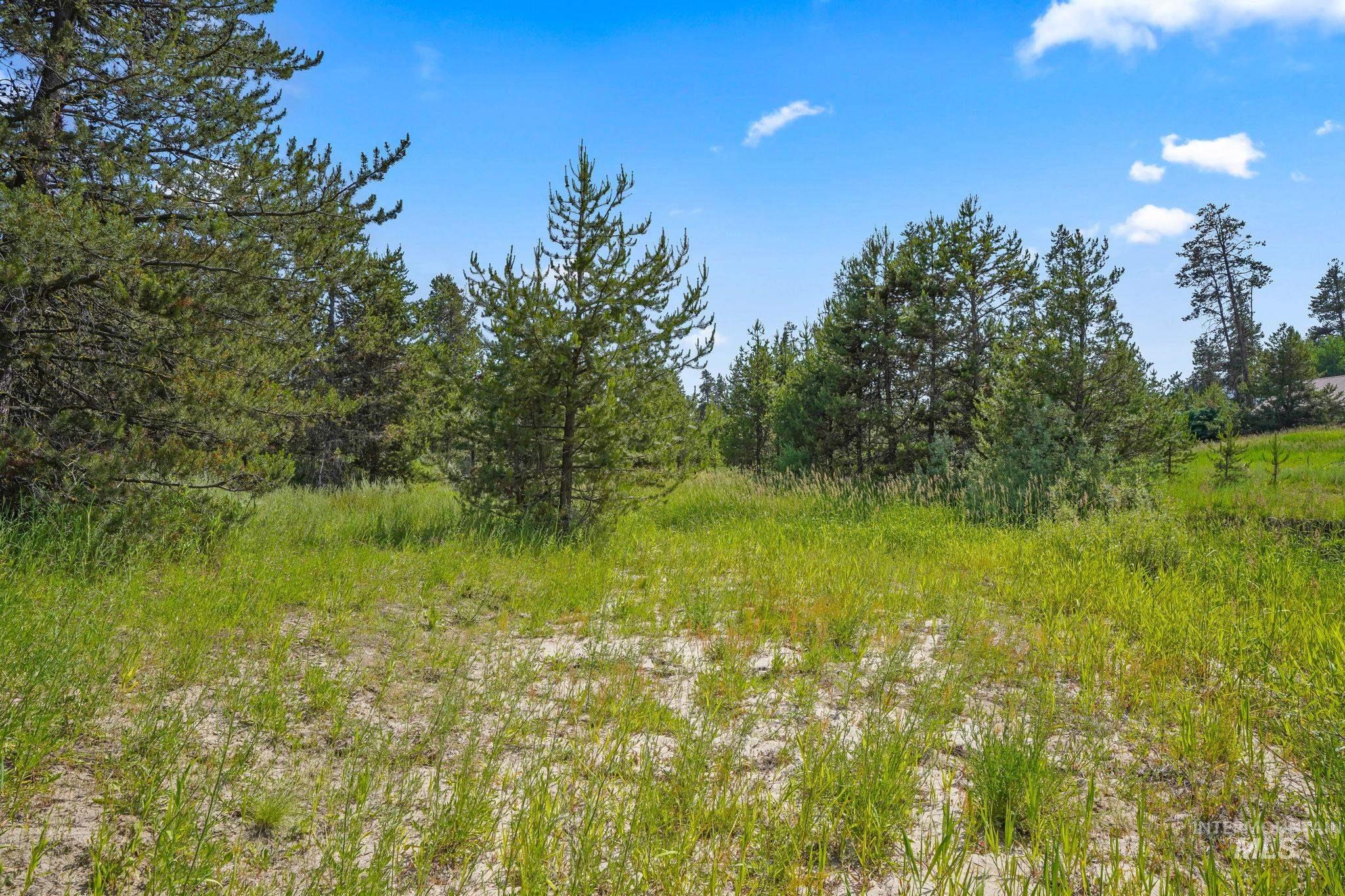 0 Hwy 55, Donnelly, Idaho 83615, Land For Sale, Price $399,900, 98884261