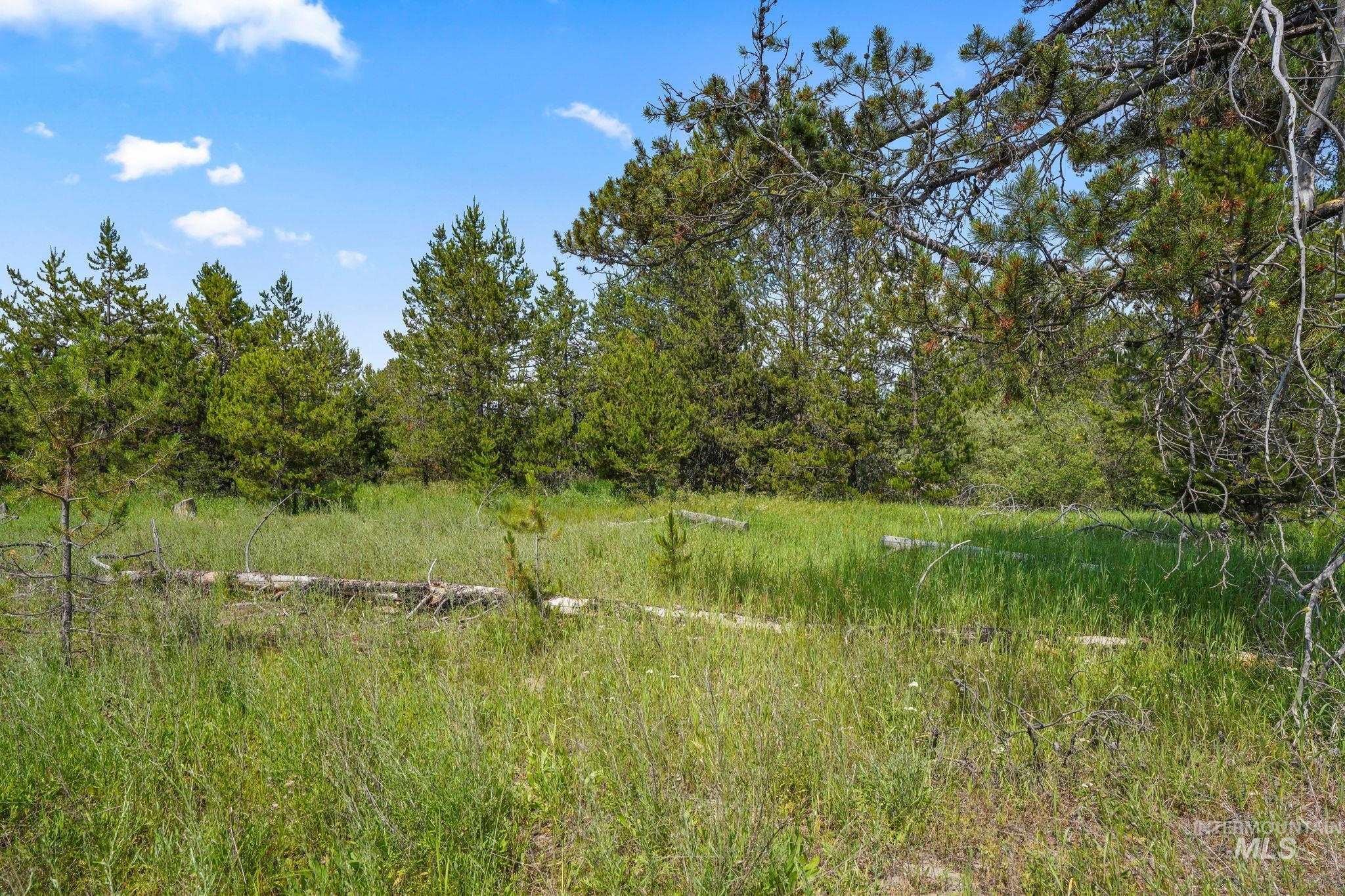 0 Hwy 55, Donnelly, Idaho 83615, Land For Sale, Price $399,900, 98884261
