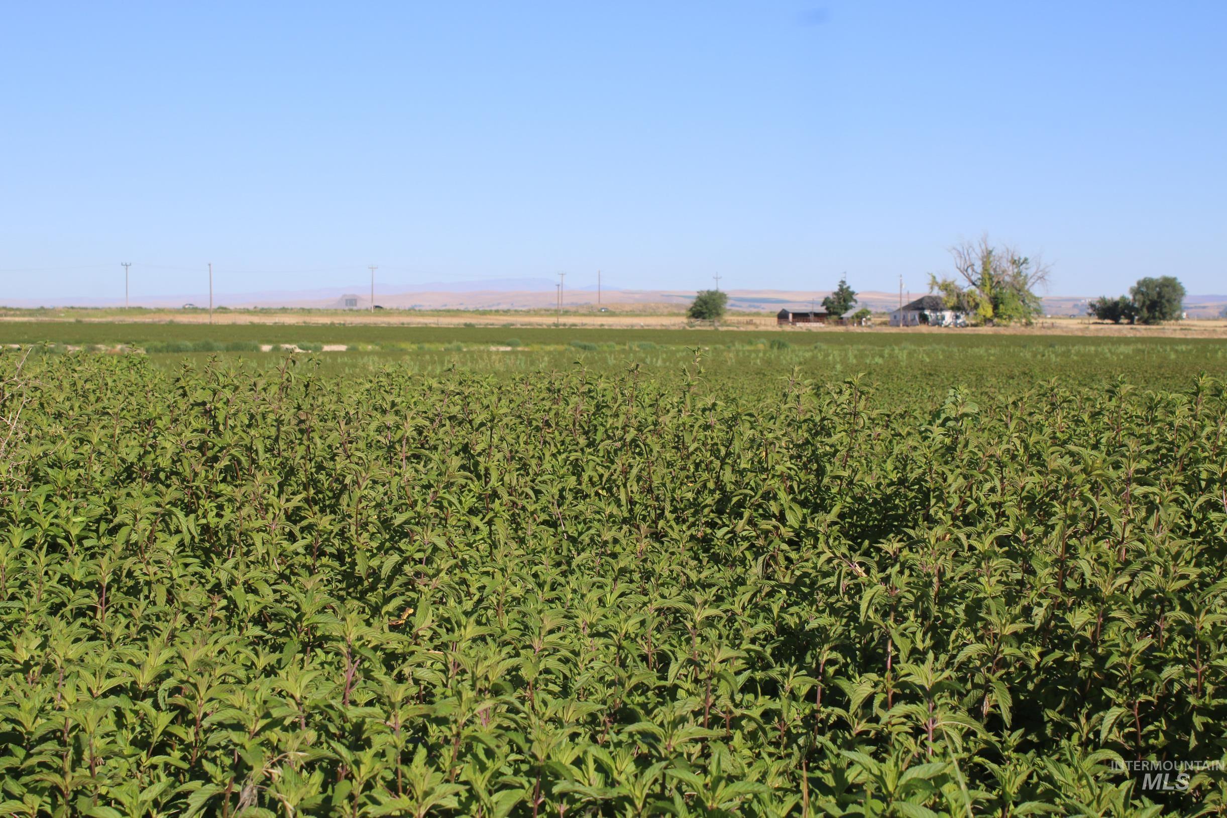 Parcel 1 NW 1st Avenue, Fruitland, Idaho 83619, Land For Sale, Price $375,000, 98884413
