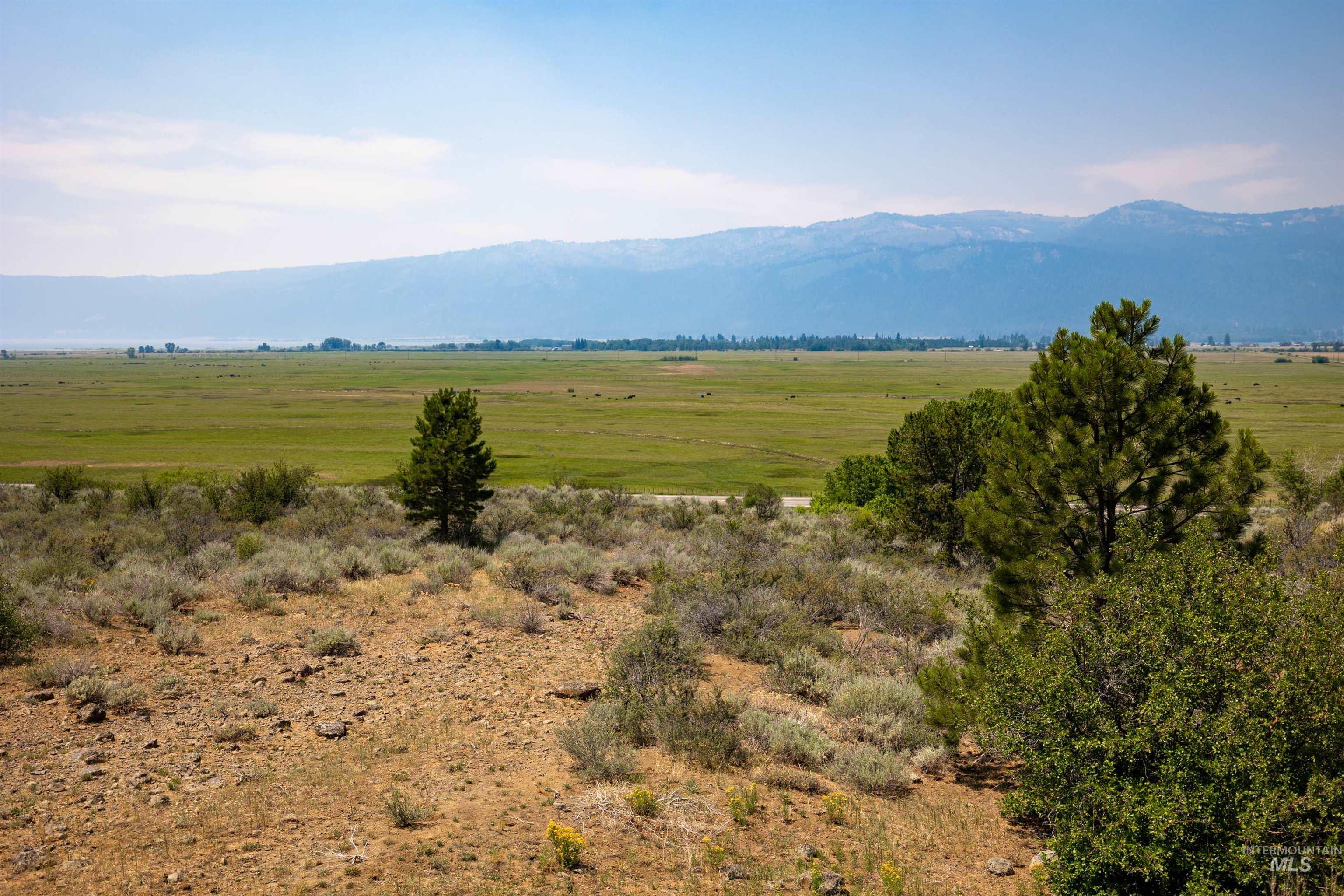 TBD Takeuchi Drive, Donnelly, Idaho 83615, Land For Sale, Price $250,000,MLS 98884425