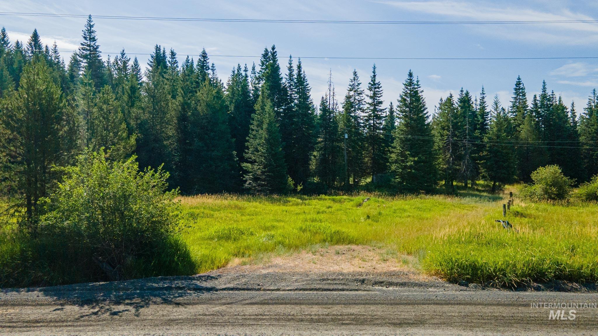 18538 Upper Fords Creek, Weippe, Idaho 83553, Land For Sale, Price $350,000,MLS 98884832