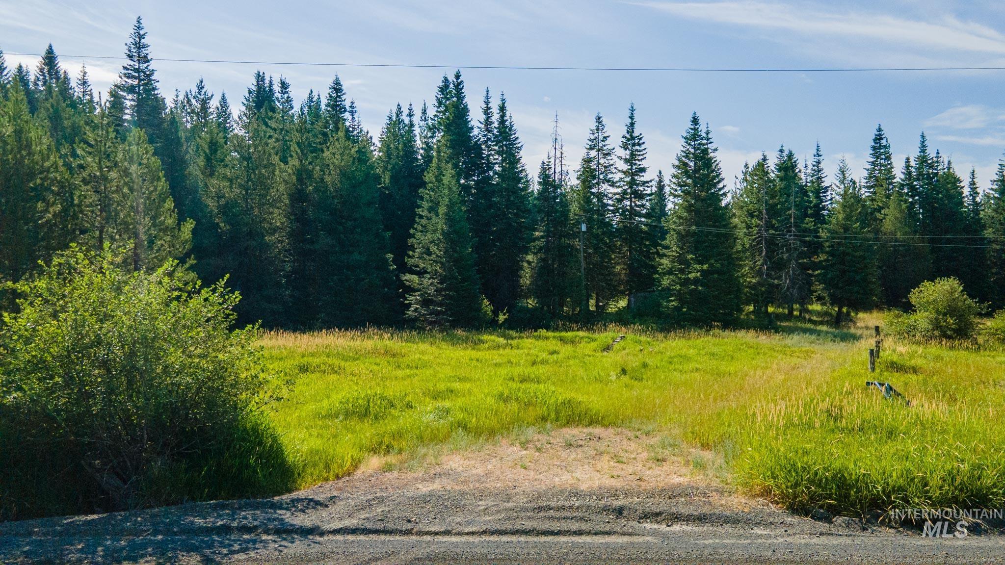 18538 Upper Fords Creek, Weippe, Idaho 83553, Land For Sale, Price $350,000,MLS 98884832