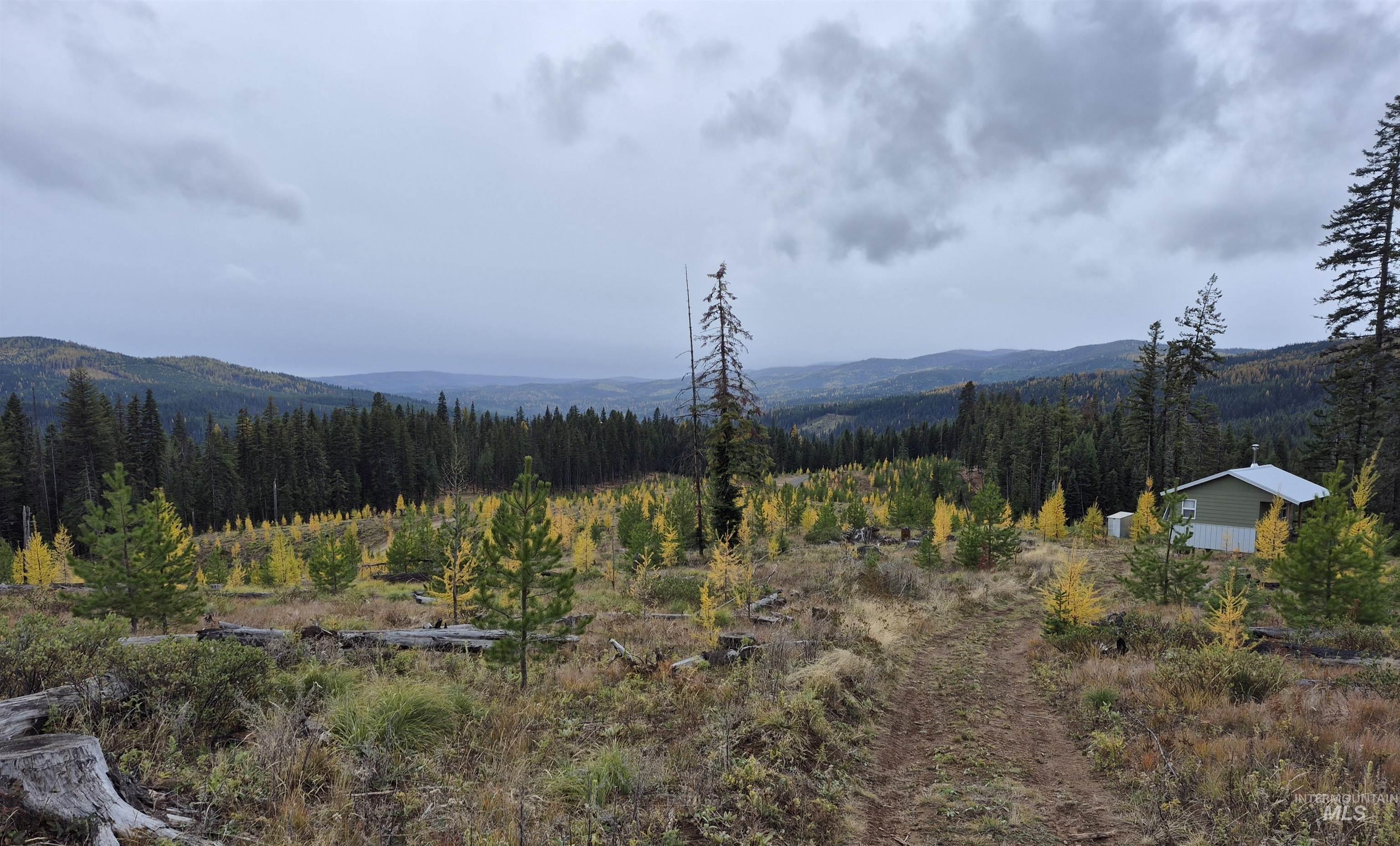 TBD French Gulch Rd Parcel #2, Elk City, Idaho 83525, Residential For Sale, Price $229,000, 98885127