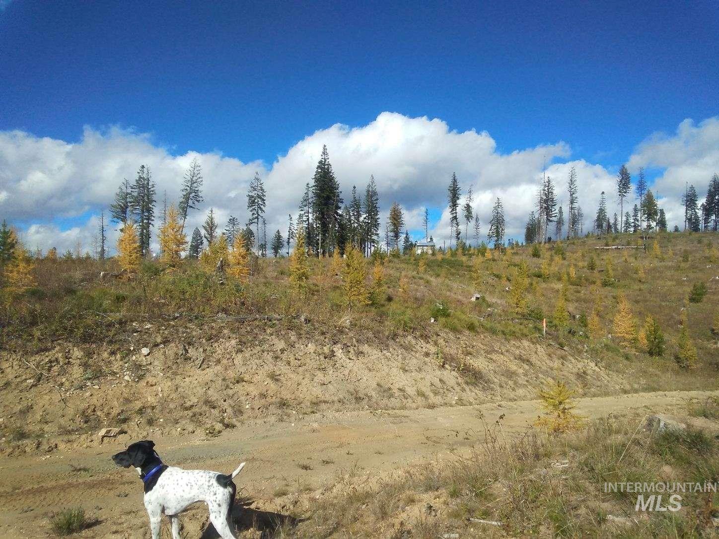 TBD French Gulch Rd Parcel #2, Elk City, Idaho 83525, Residential For Sale, Price $229,000, 98885127