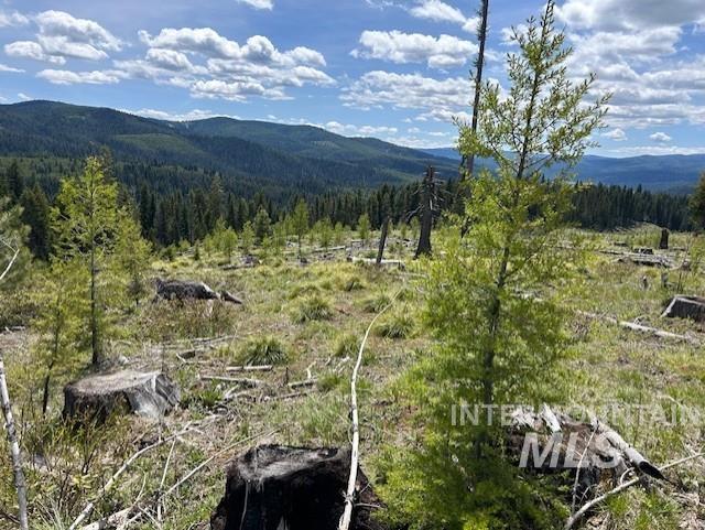 TBD French Gulch Rd Parcel #2, Elk City, Idaho 83525, Residential For Sale, Price $239,000, 98885127