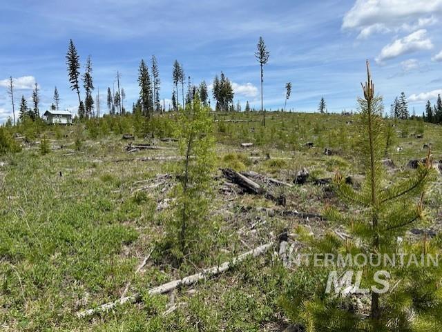 333 Parcel 2 French Gulch Rd, Elk City, Idaho 83525, Residential For Sale, Price $269,000, 98885127