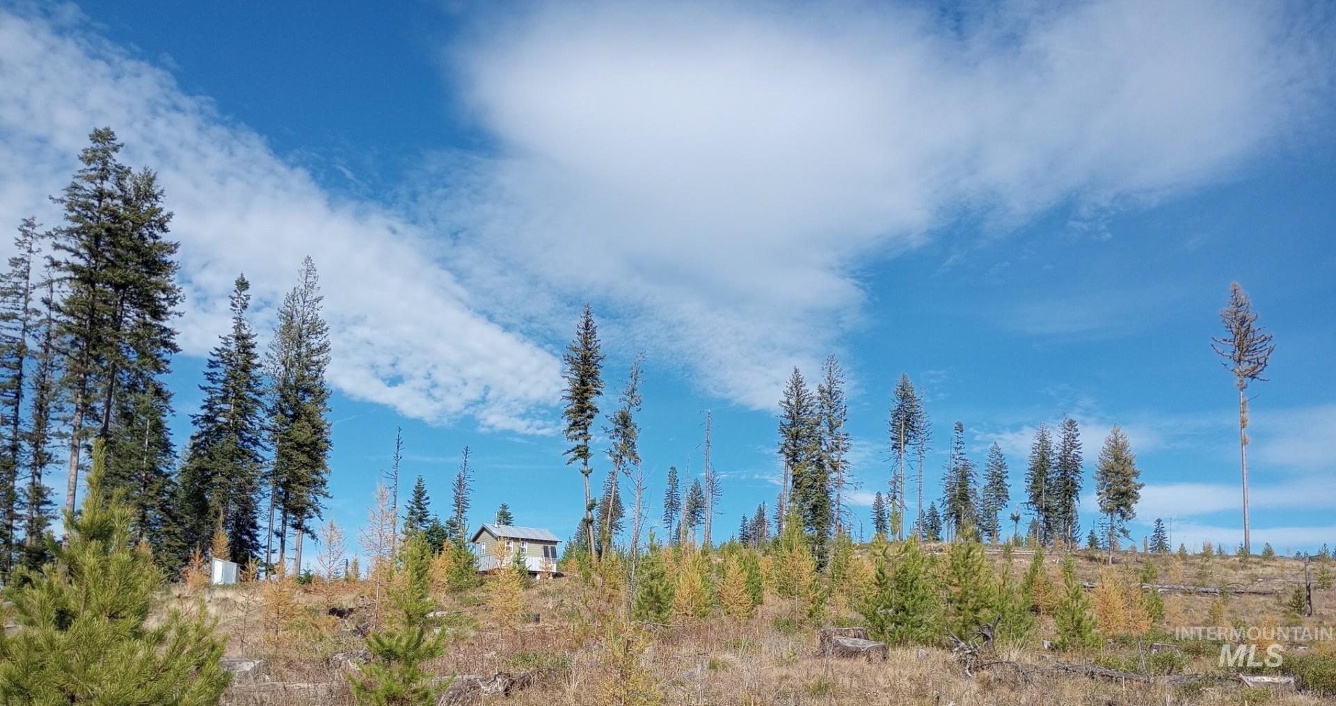 TBD French Gulch Rd Parcel #2, Elk City, Idaho 83525, Residential For Sale, Price $229,000, 98885127