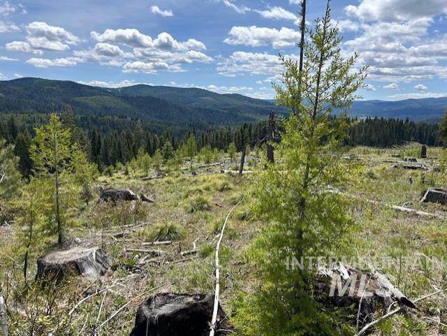 333 Parcel 2 French Gulch Rd, Elk City, Idaho 83525, Residential For Sale, Price $269,000, 98885127