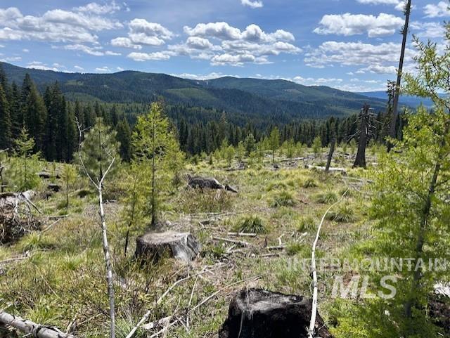 333 Parcel 2 French Gulch Rd, Elk City, Idaho 83525, Residential For Sale, Price $269,000, 98885127