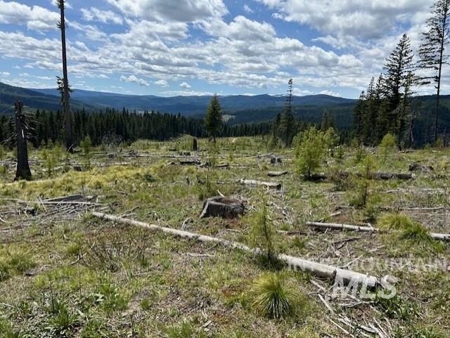 333 Parcel 2 French Gulch Rd, Elk City, Idaho 83525, Residential For Sale, Price $269,000, 98885127