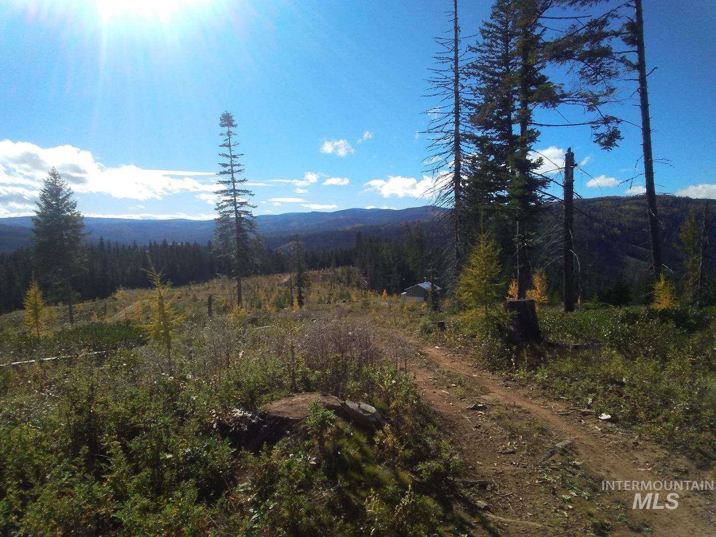 TBD French Gulch Rd Parcel #2, Elk City, Idaho 83525, Residential For Sale, Price $229,000, 98885127