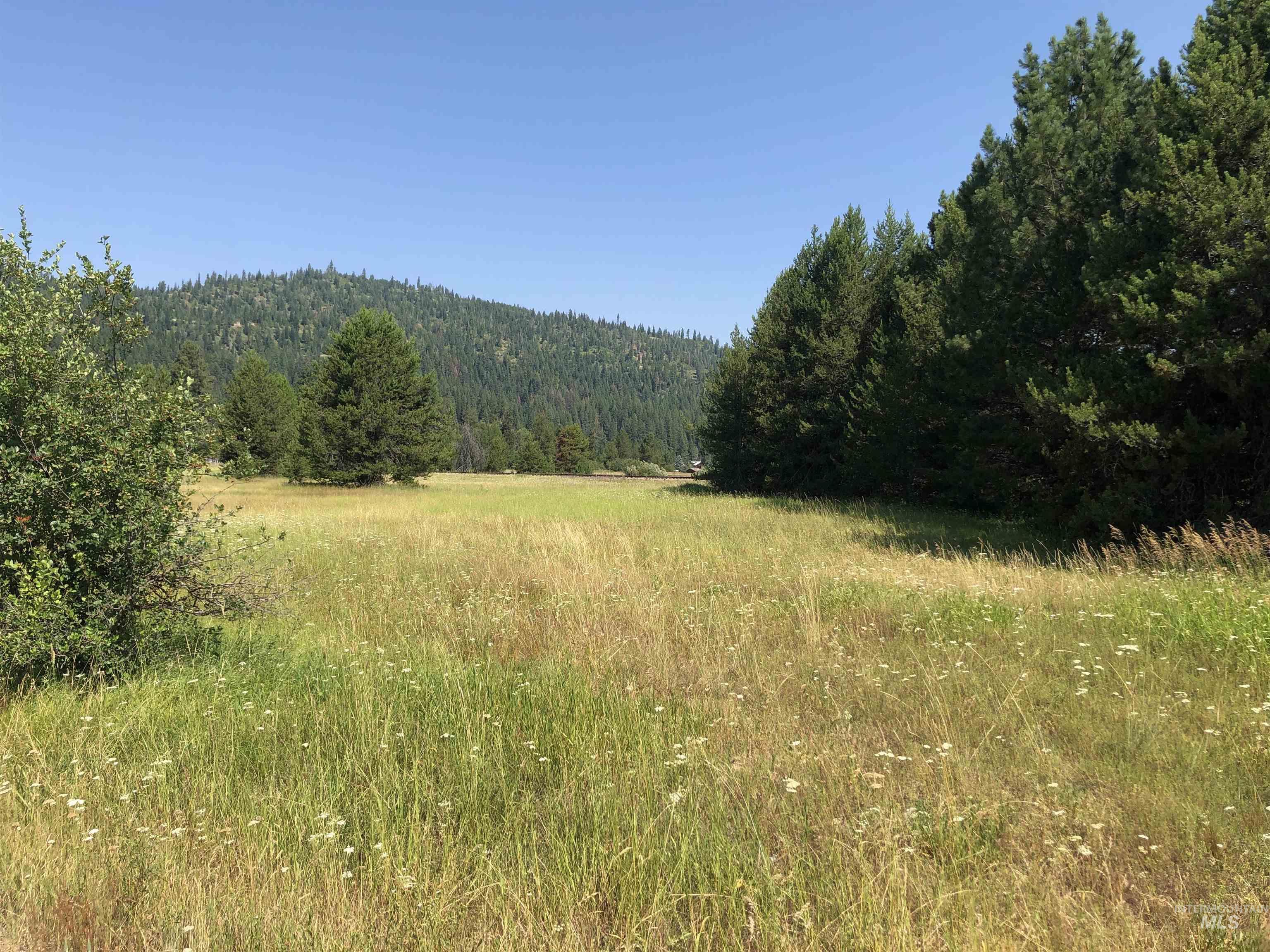 14 Smith's Ferry Dr, Cascade, Idaho 83611, Land For Sale, Price $275,000,MLS 98885249
