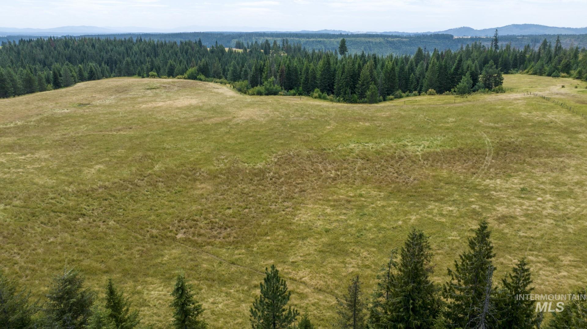 1605 Jasmine Ln, Parcel 5, Weippe, Idaho 83553, Land For Sale, Price $224,900, 98885622